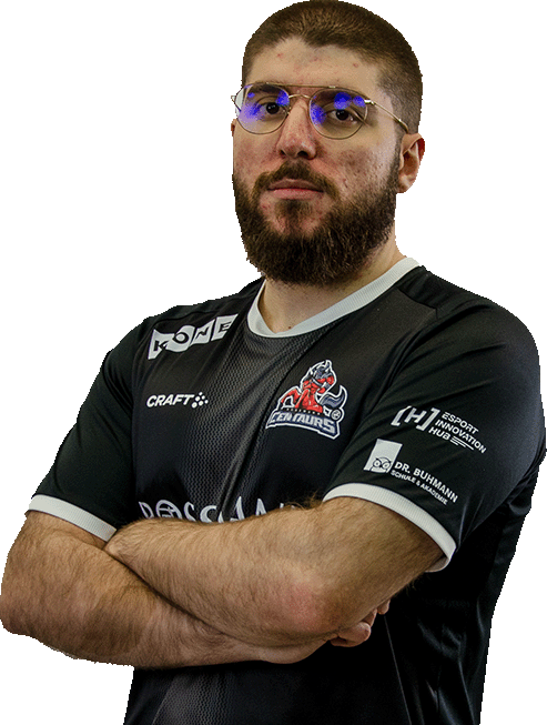 Photo de goose