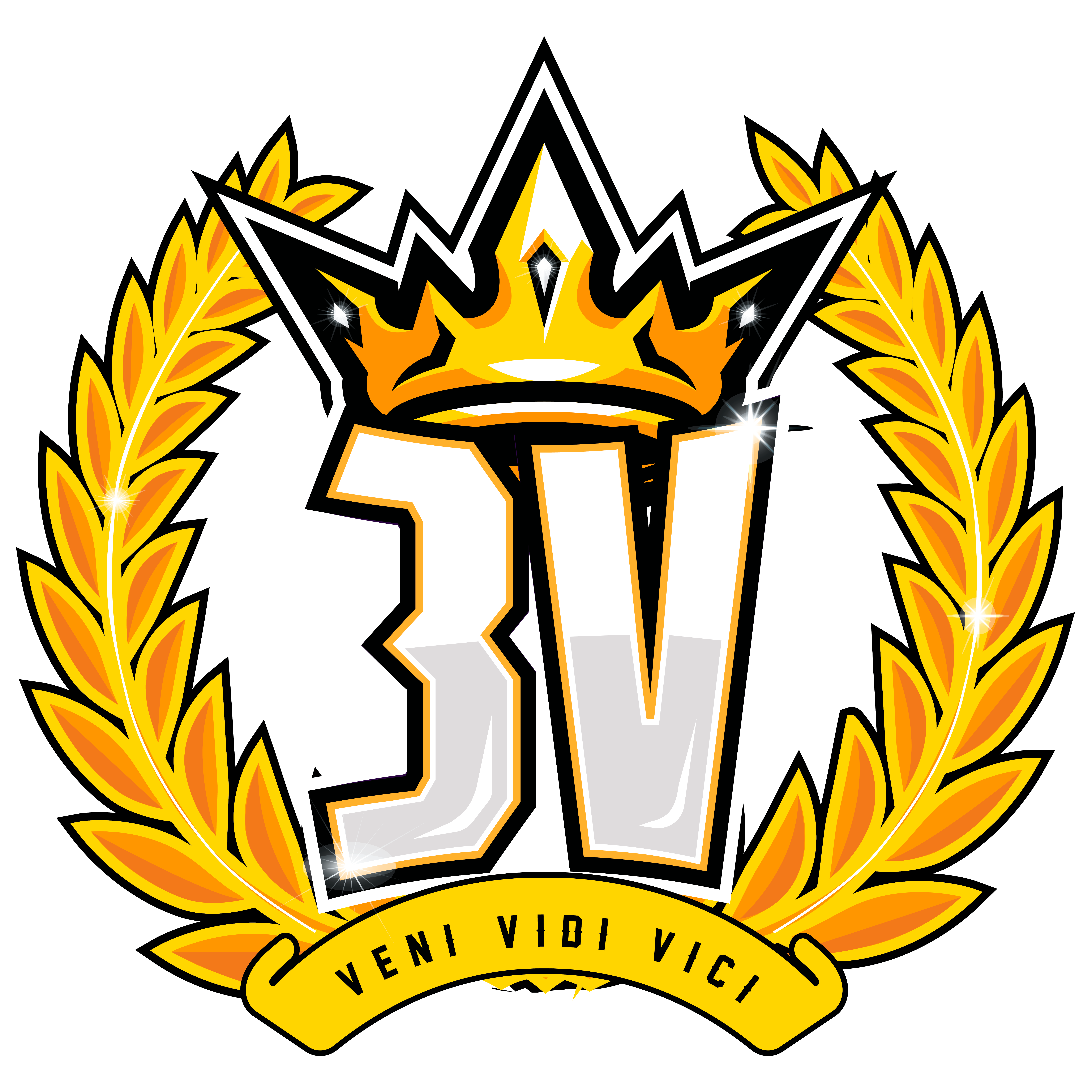 Logo 3v Team