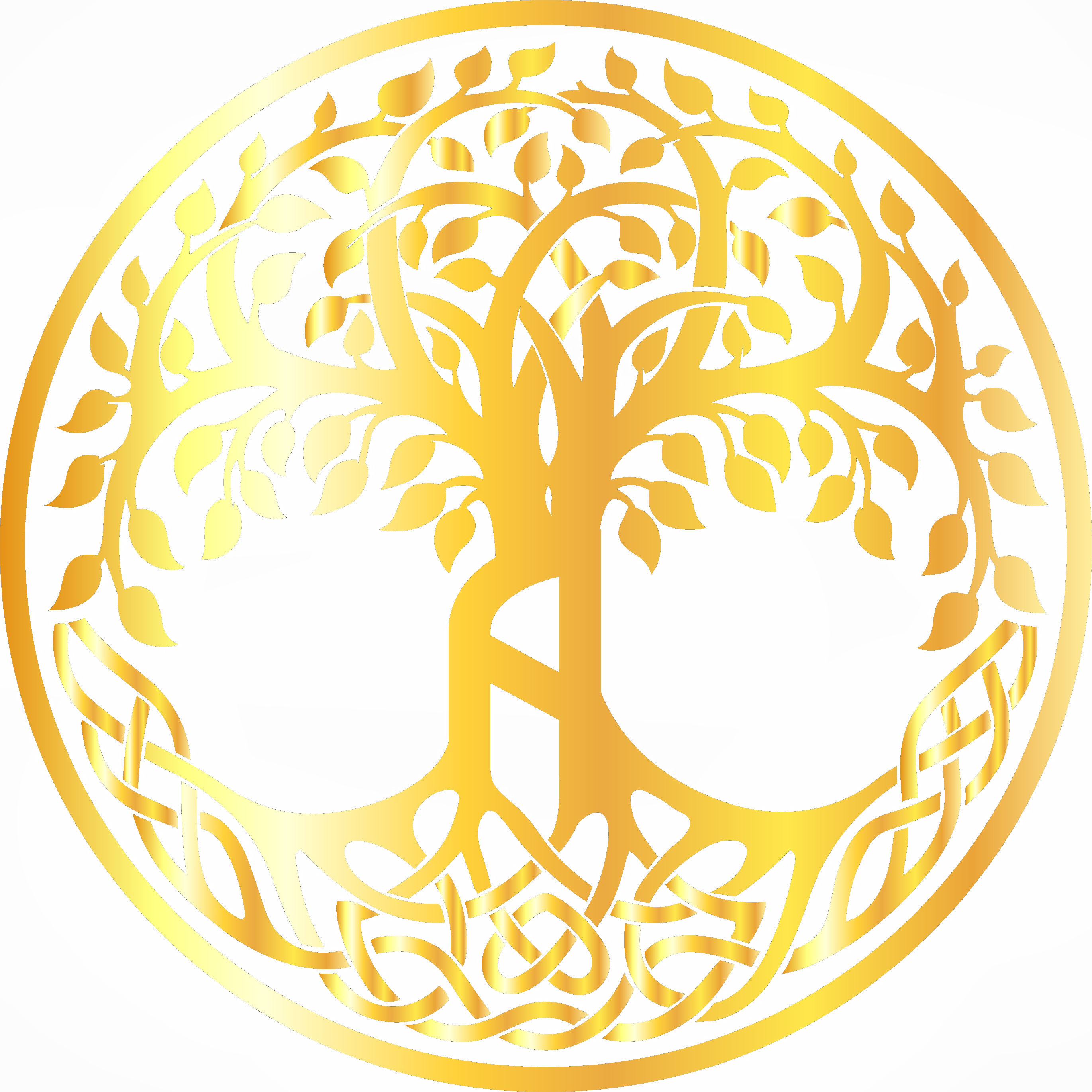 Logo Anima