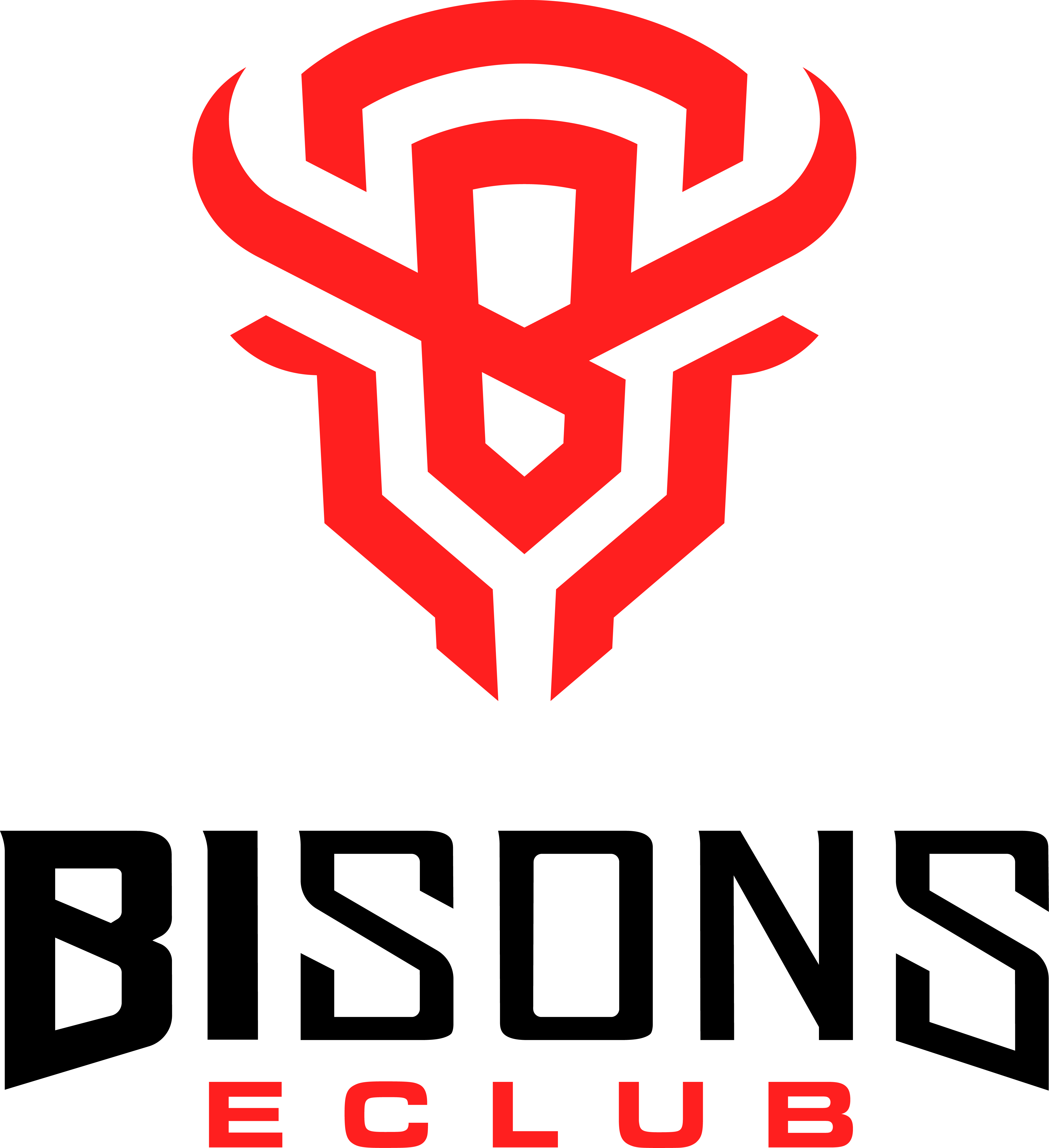 Logo BISONS ECLUB