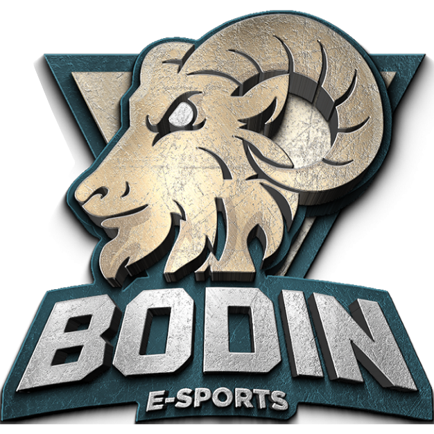 Logo Bodin E-Sports