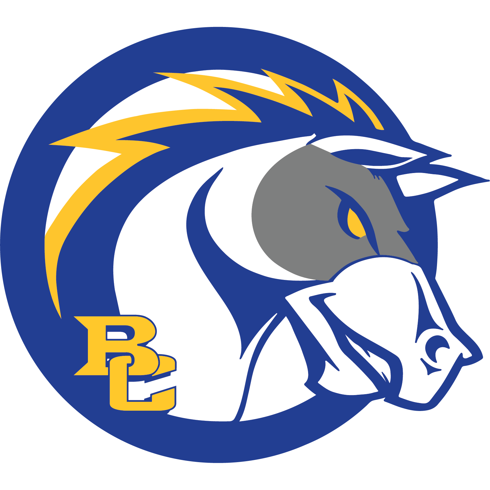 Logo Briar Cliff University