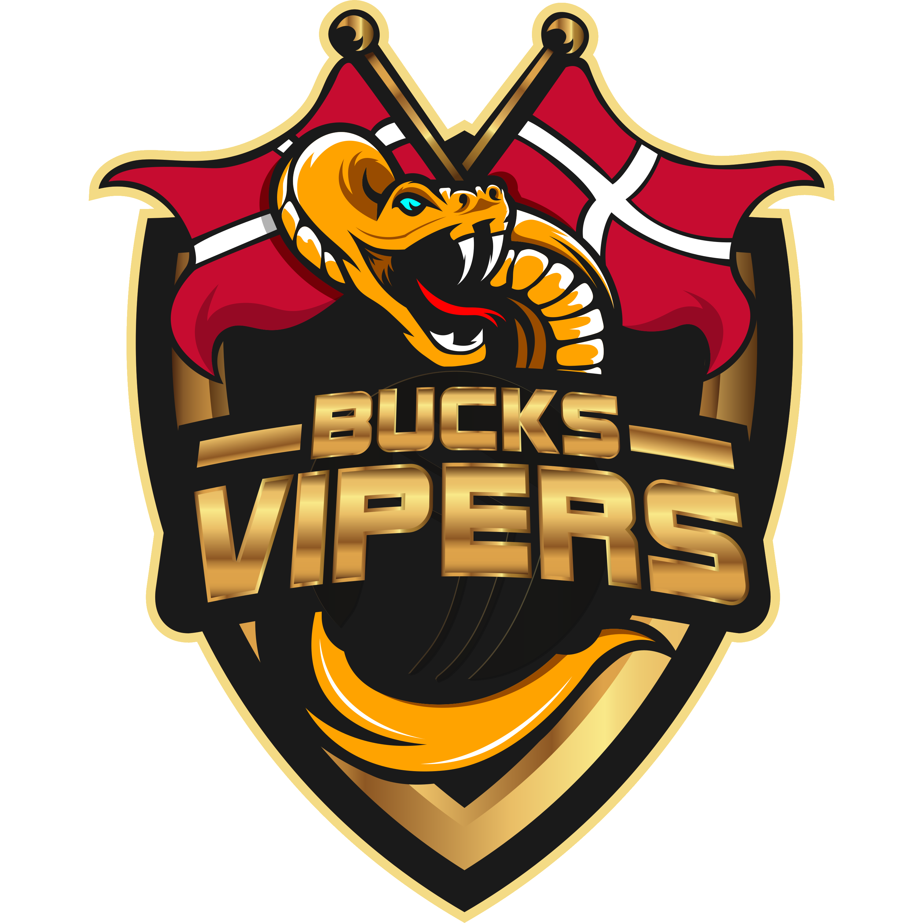 Logo de Bucks Vipers