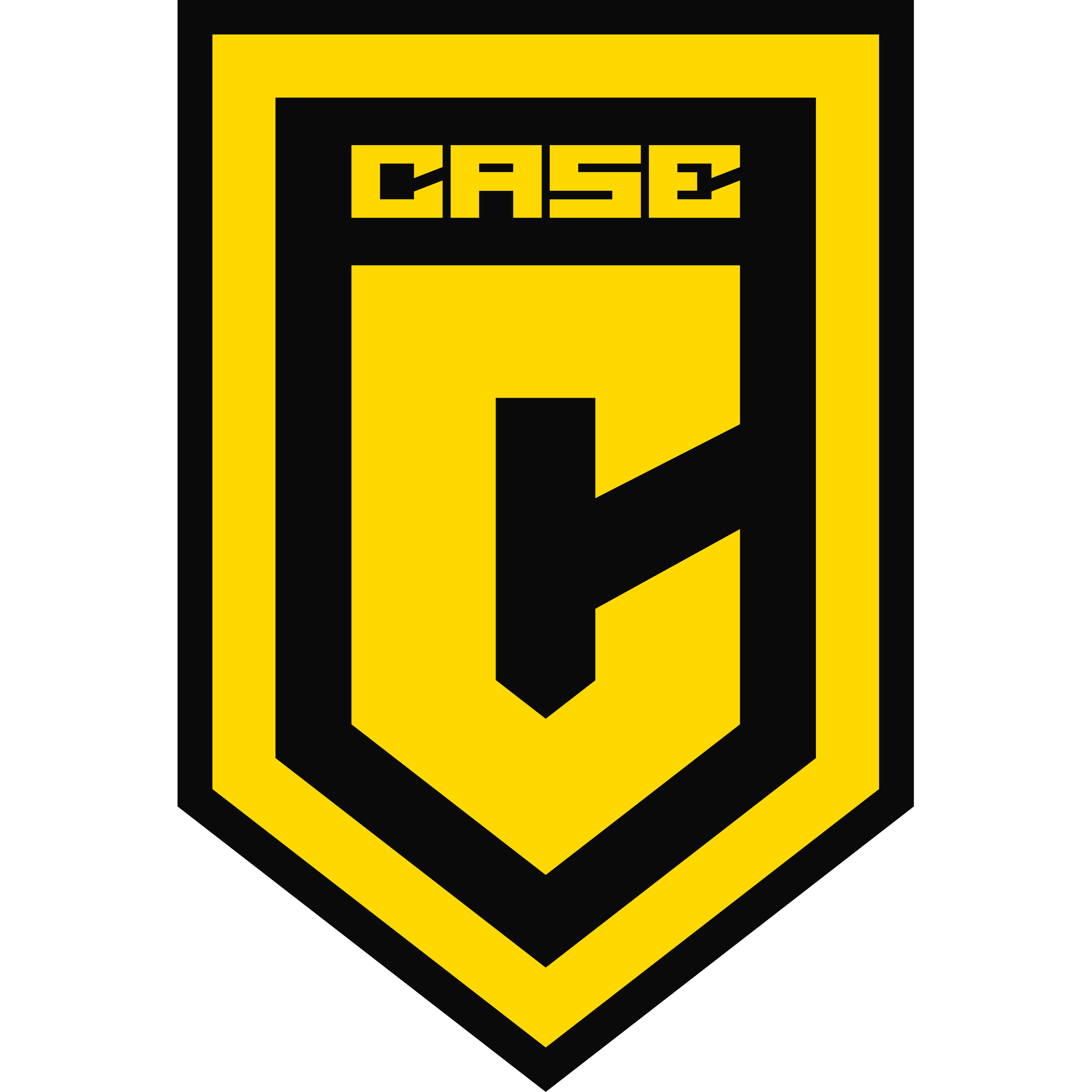 Logo Case Esports