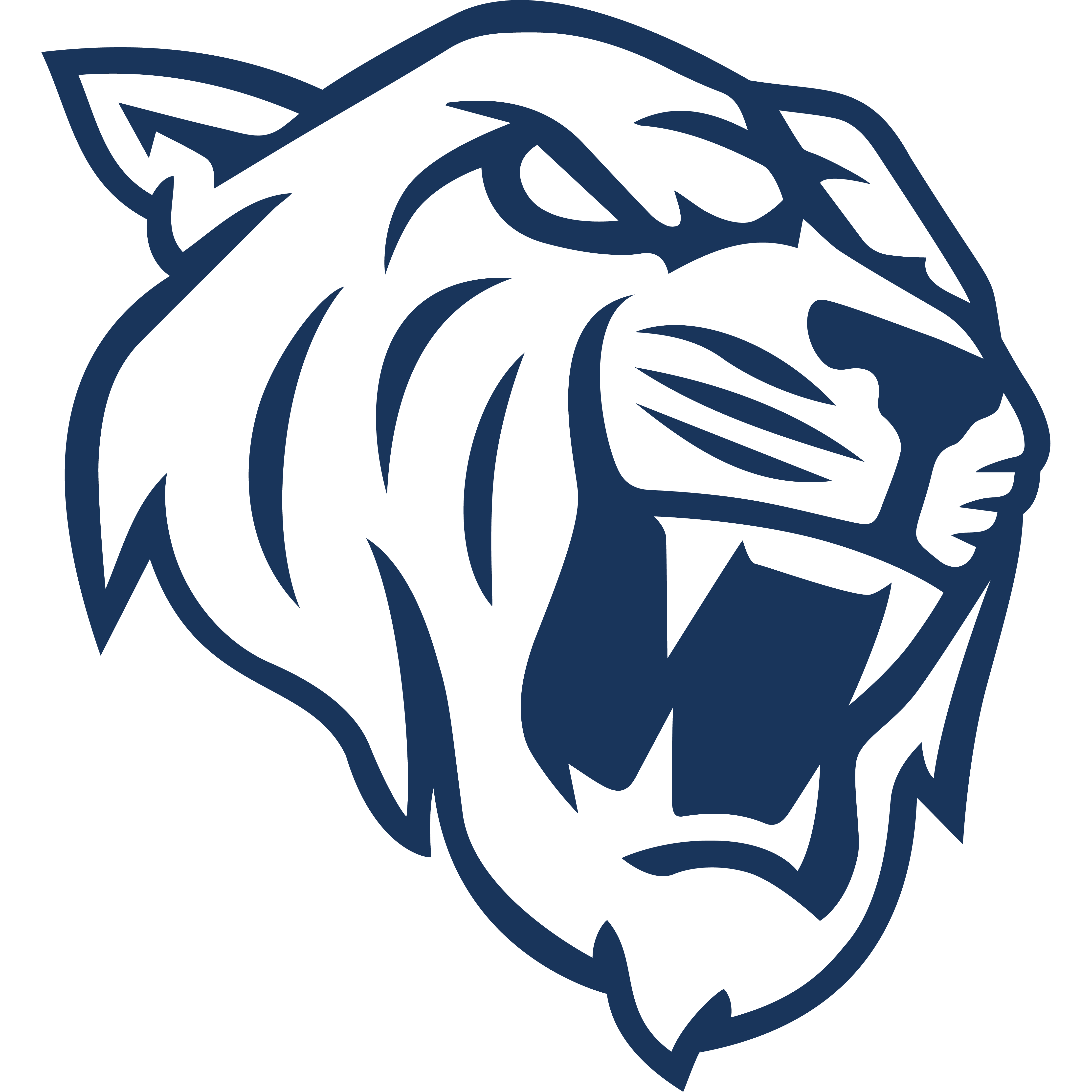 Logo Dark Passage Academy