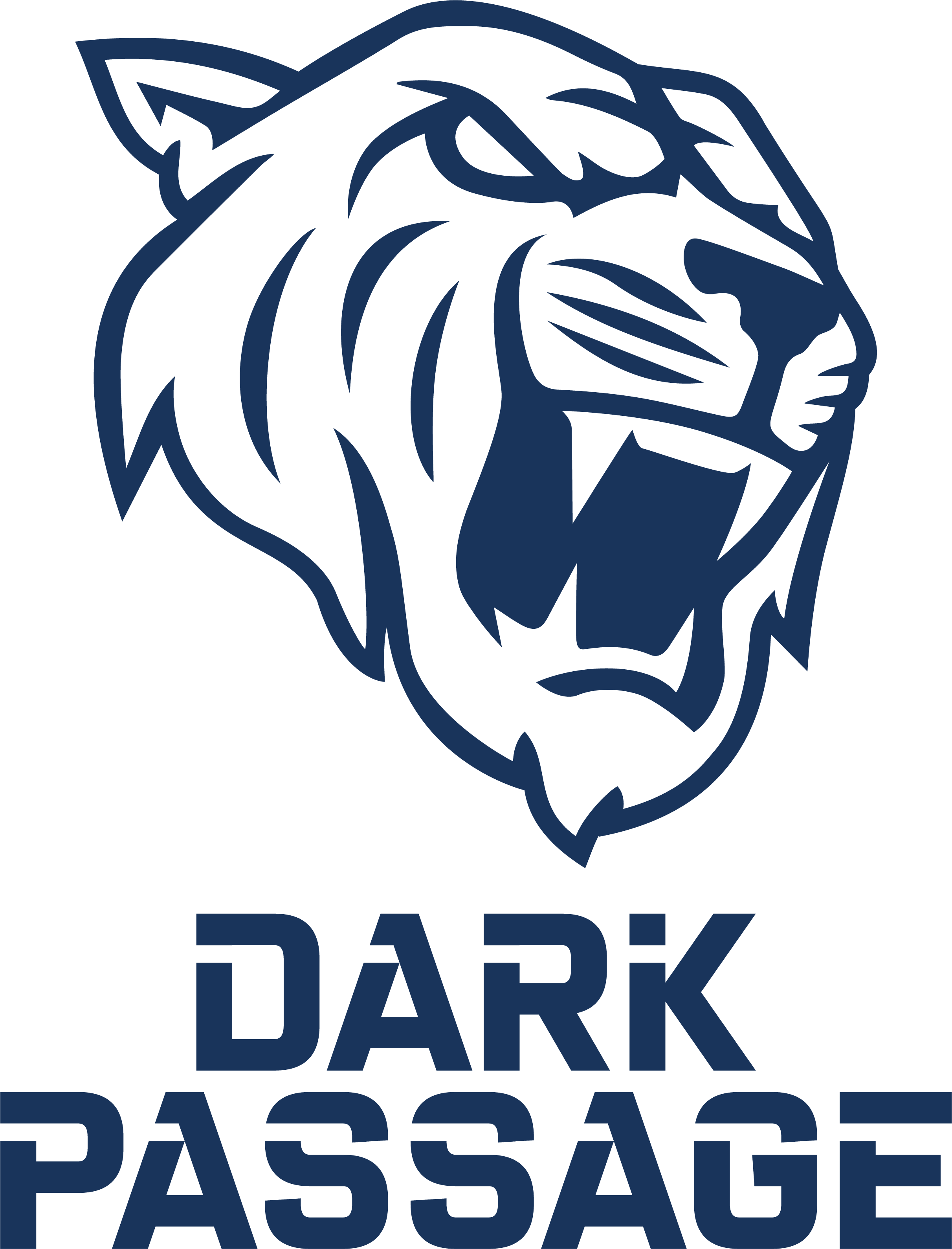Logo Dark Passage
