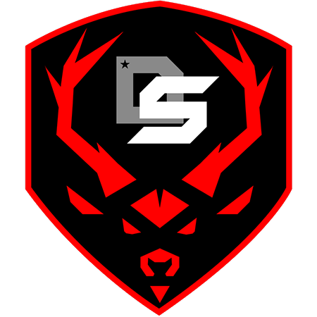 Logo de DS Gaming