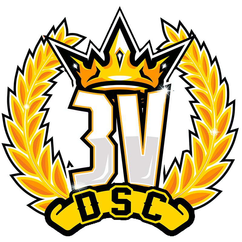 Logo DSC3V