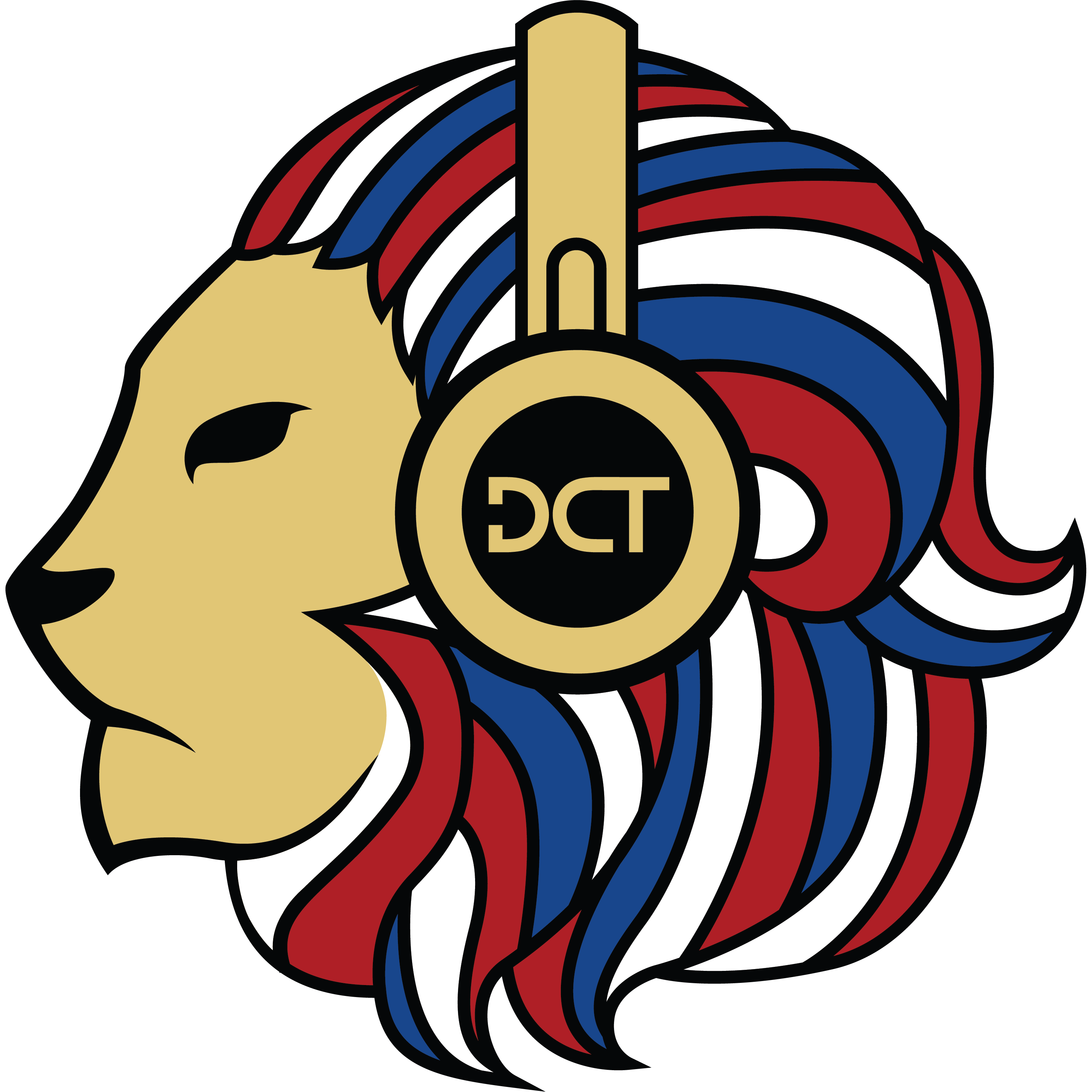 Logo Dutch Community Team