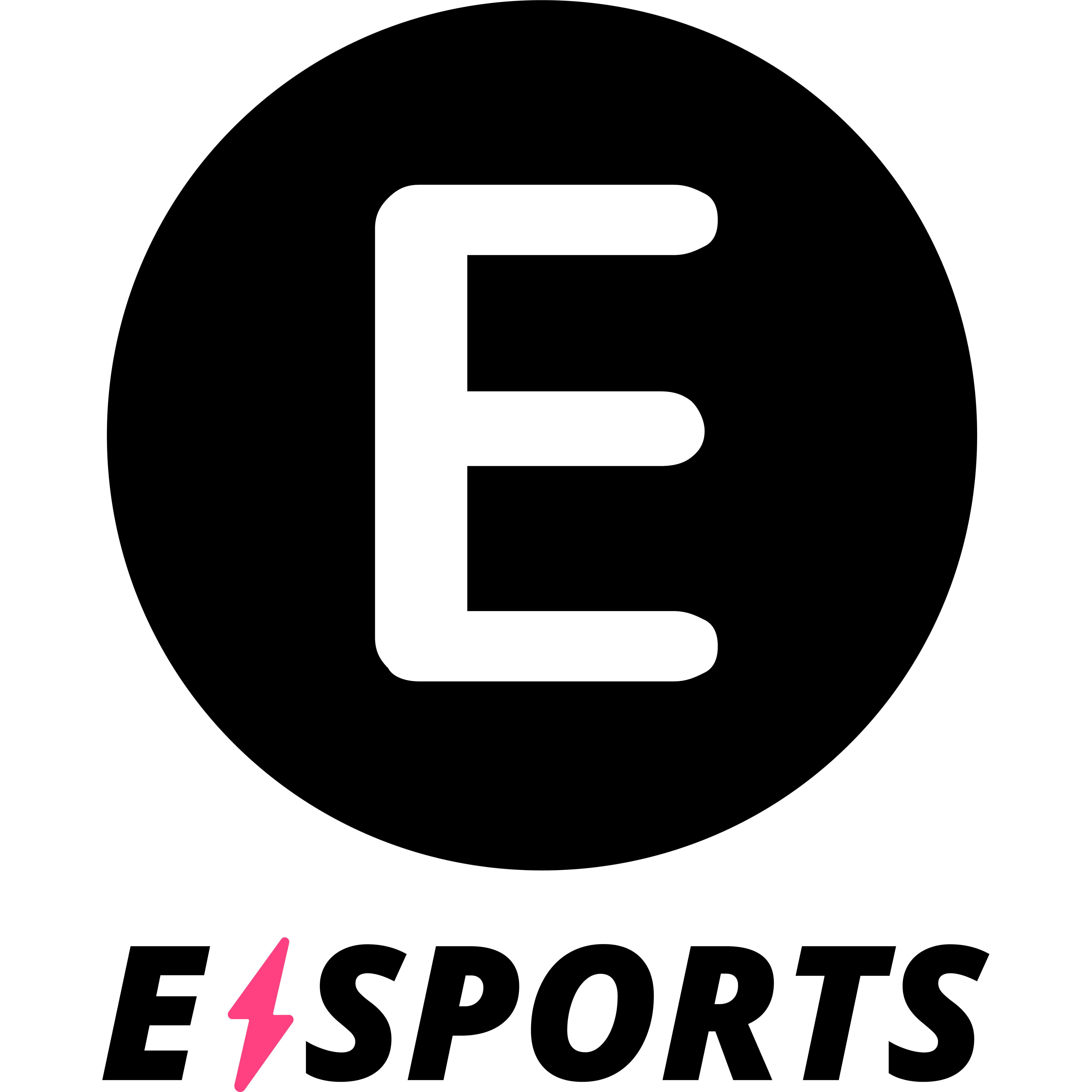 Logo E WIE EINFACH E-SPORTS