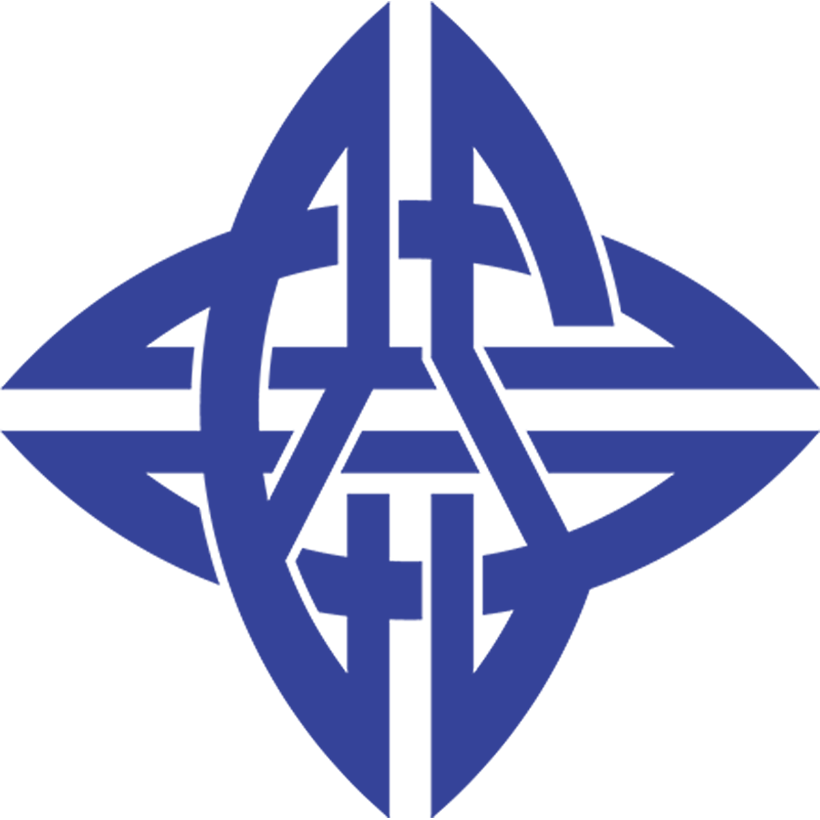 Logo eStar (Chinese Team)