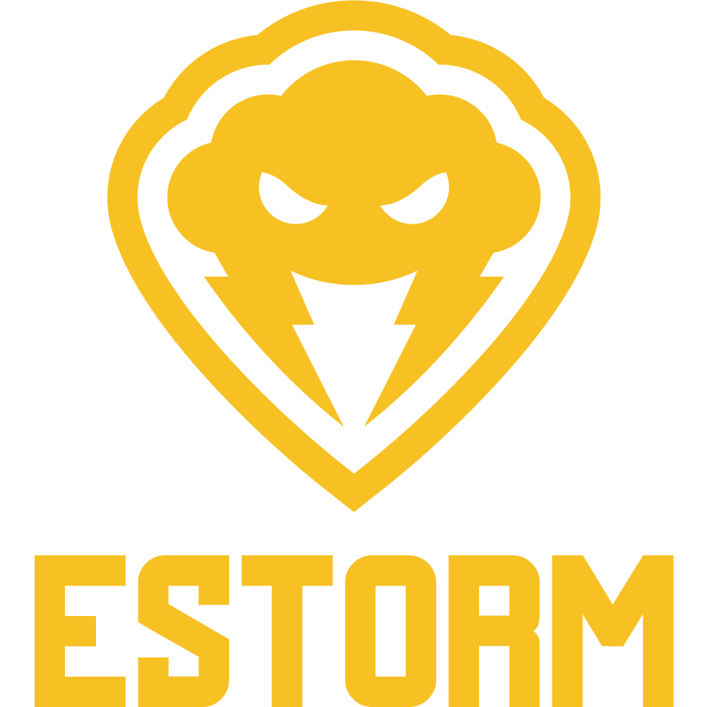 Logo ESTORM
