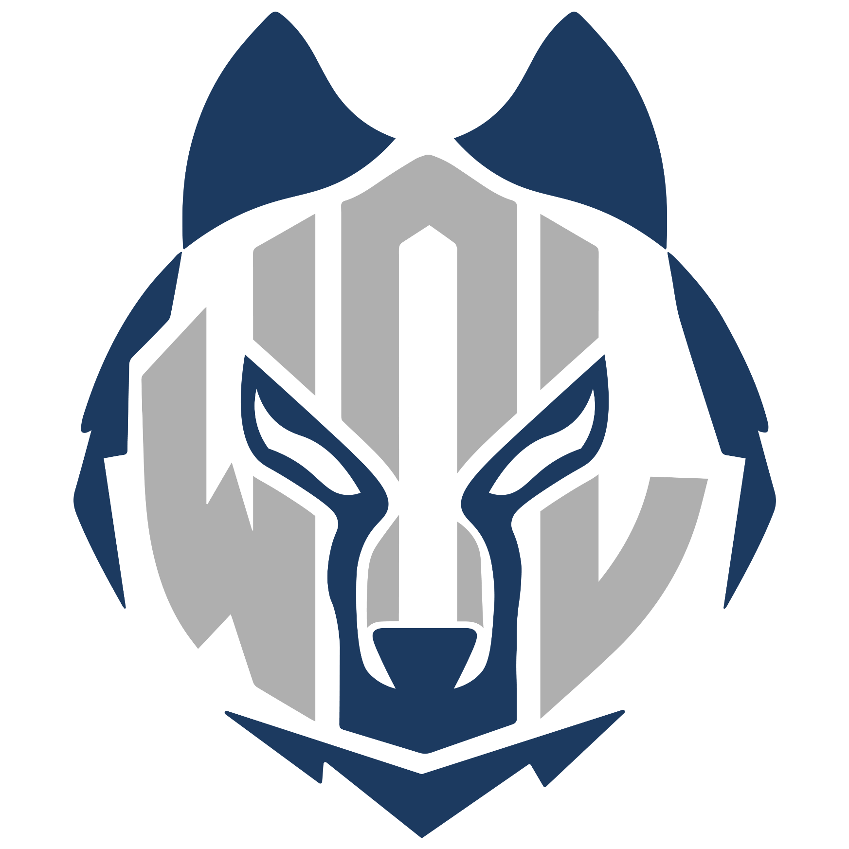 Logo eWolves Brazil