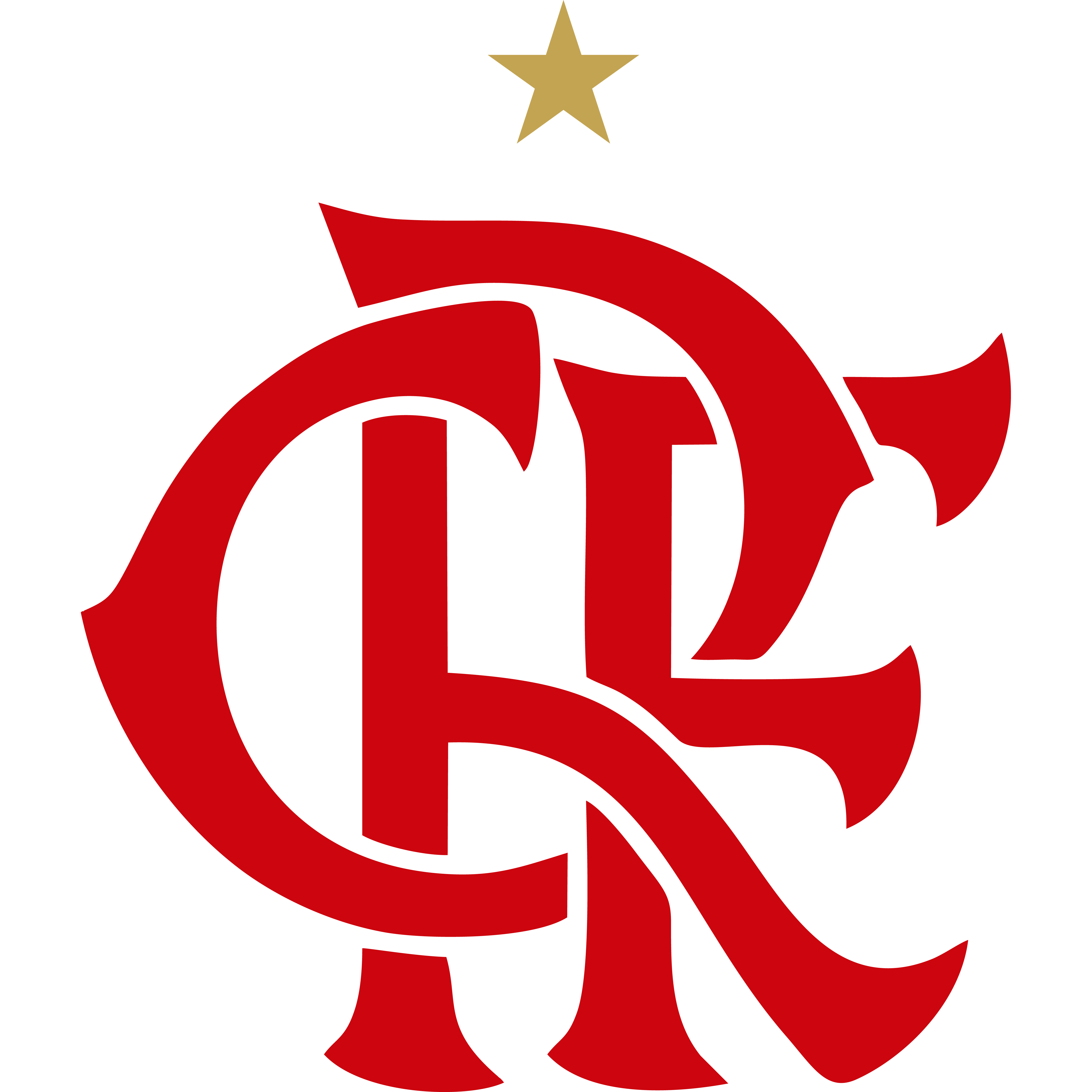 Logo Flamengo Academy
