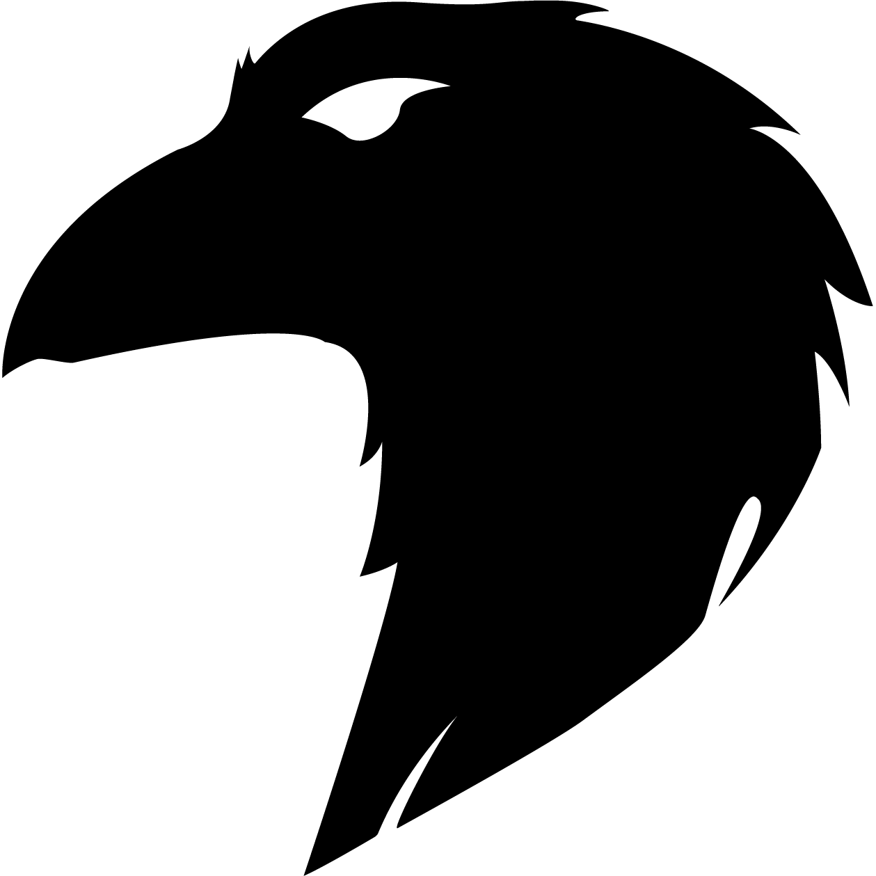 Logo FLY5