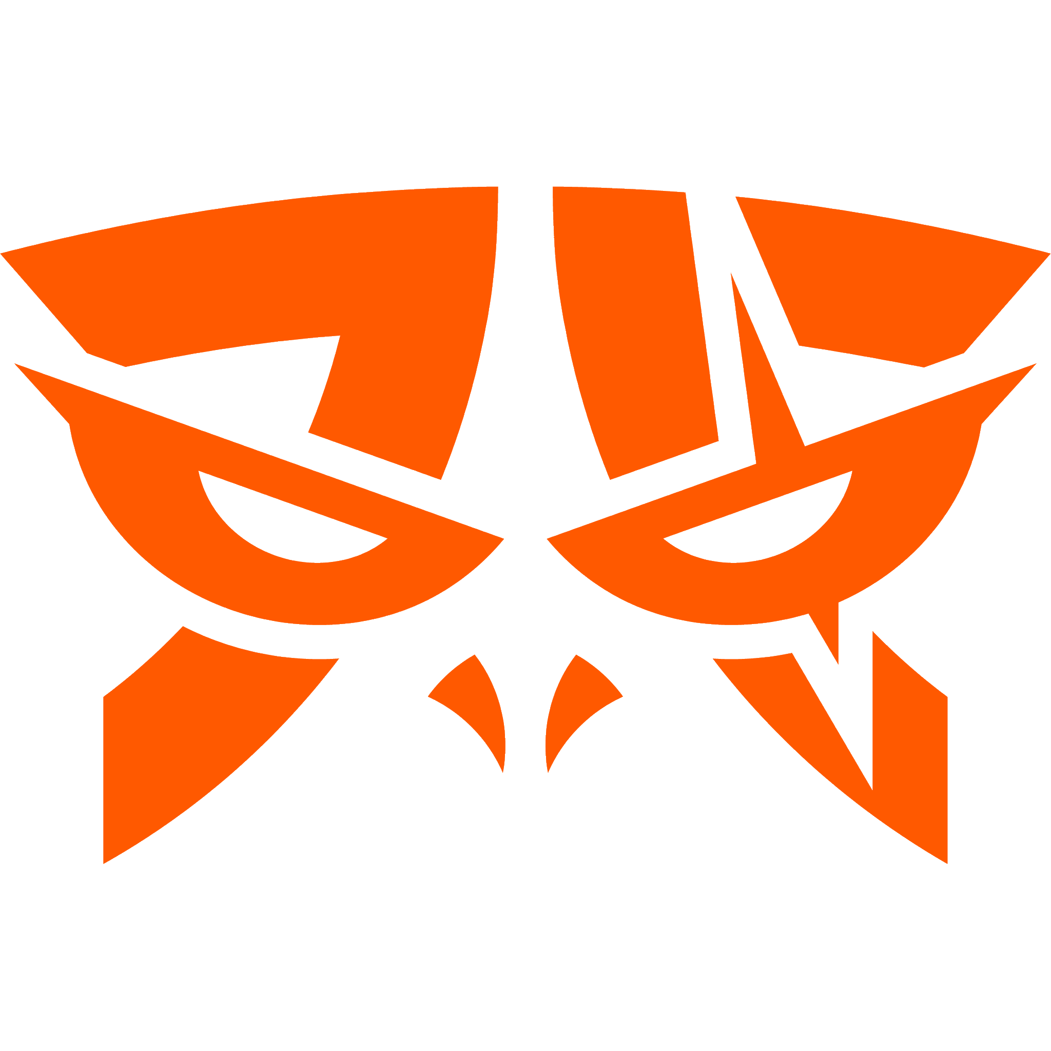 Logo Fnatic TQ