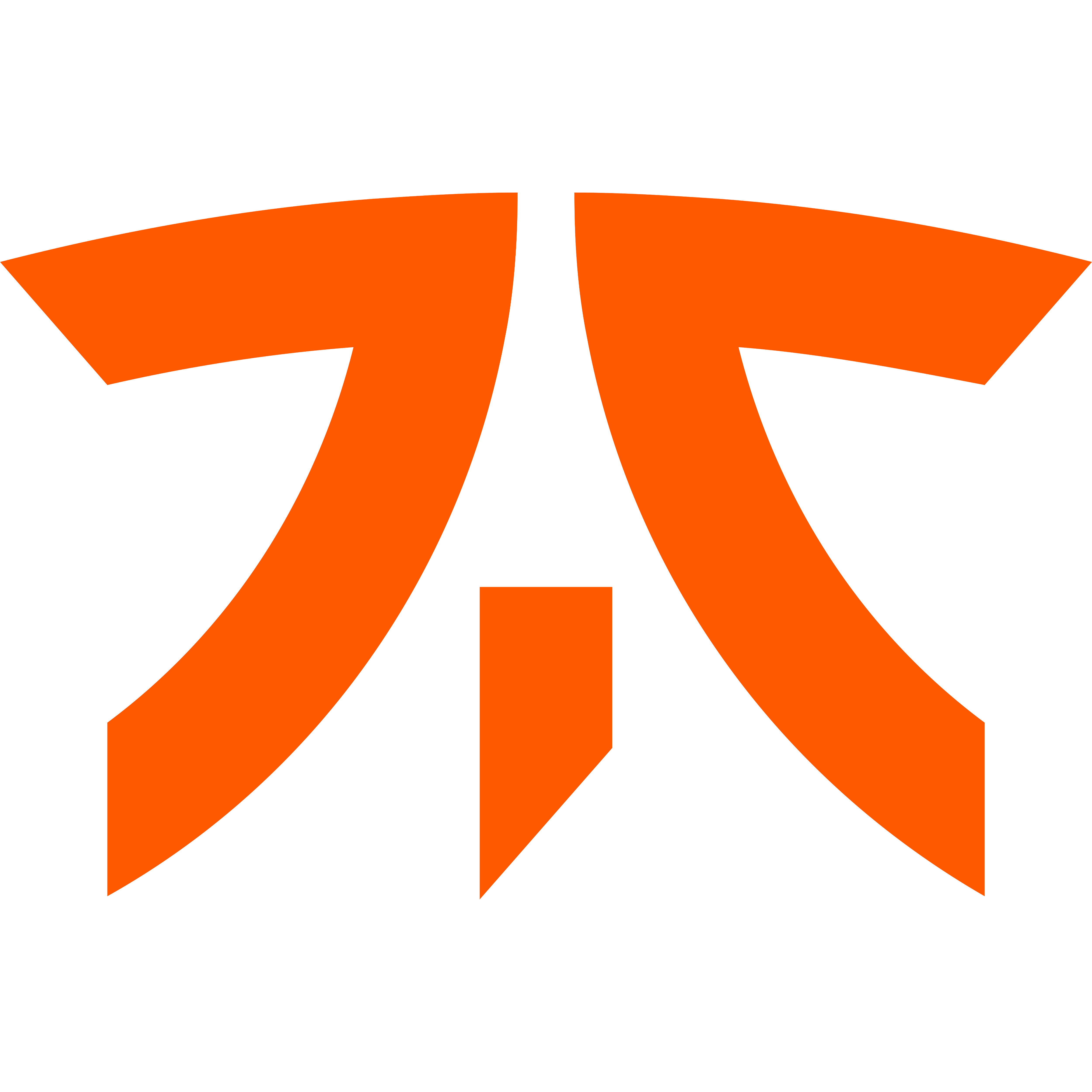 Logo Fnatic