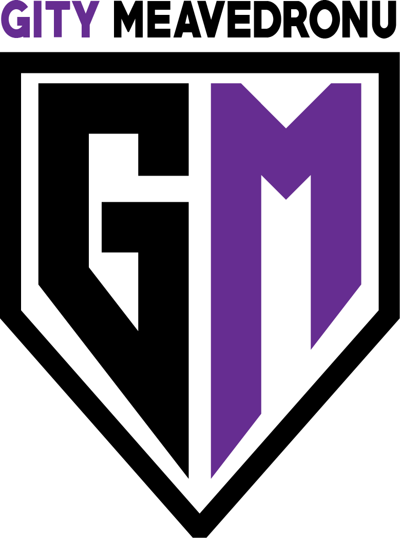Logo Gity Meavedronu