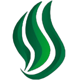 Logo Illés Akadémia Spirit