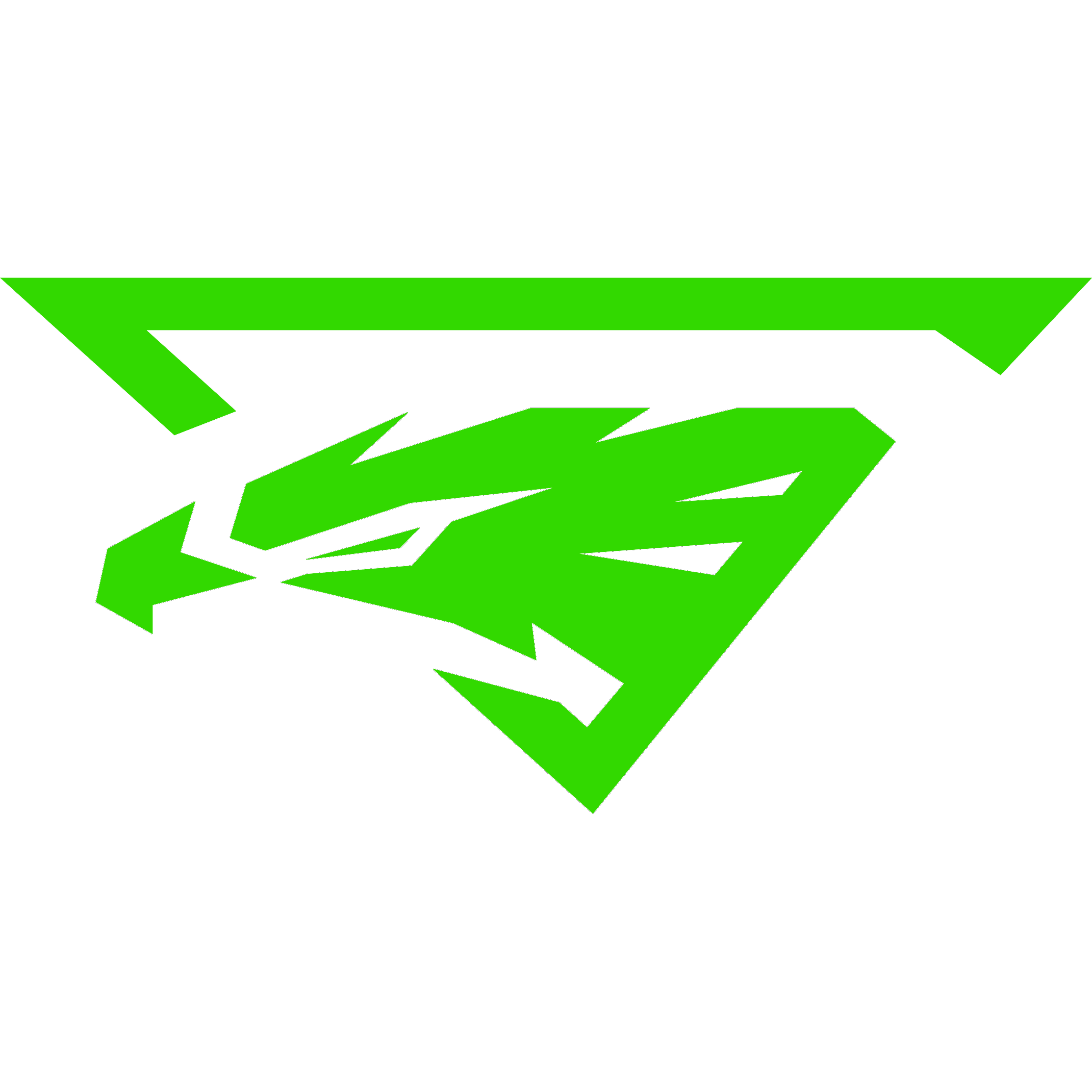 Logo de IN Gaming