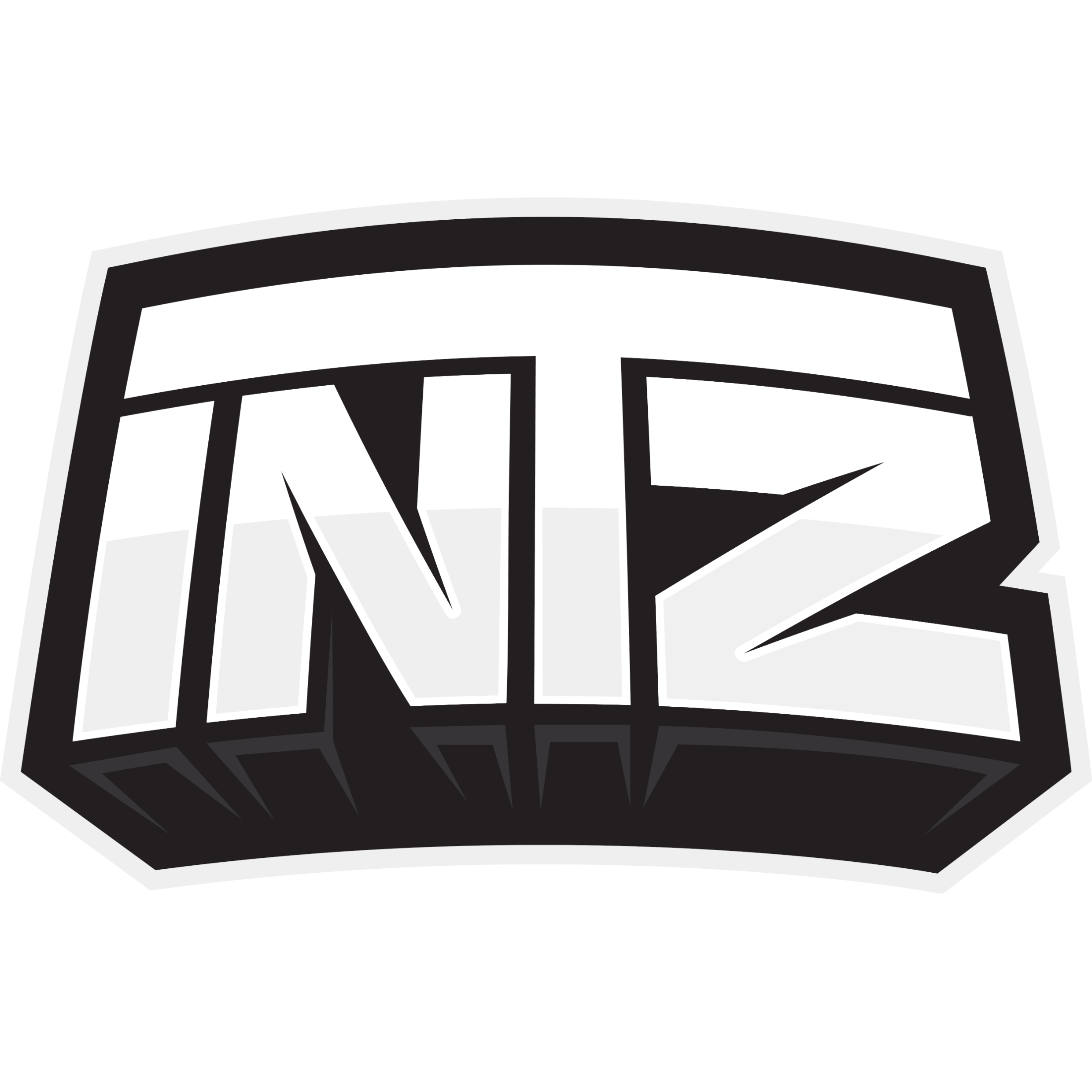 Logo INTZ