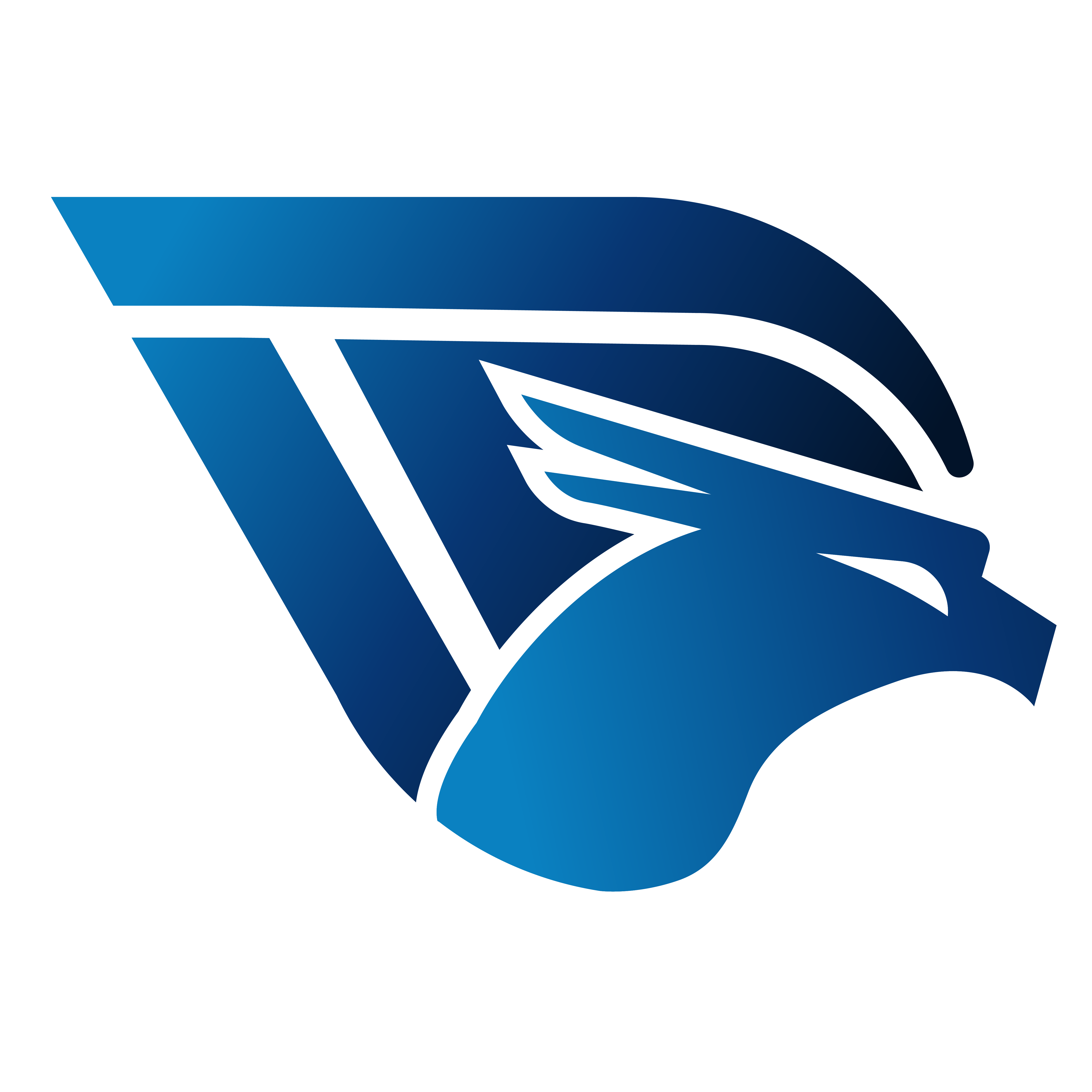 Logo IziDream