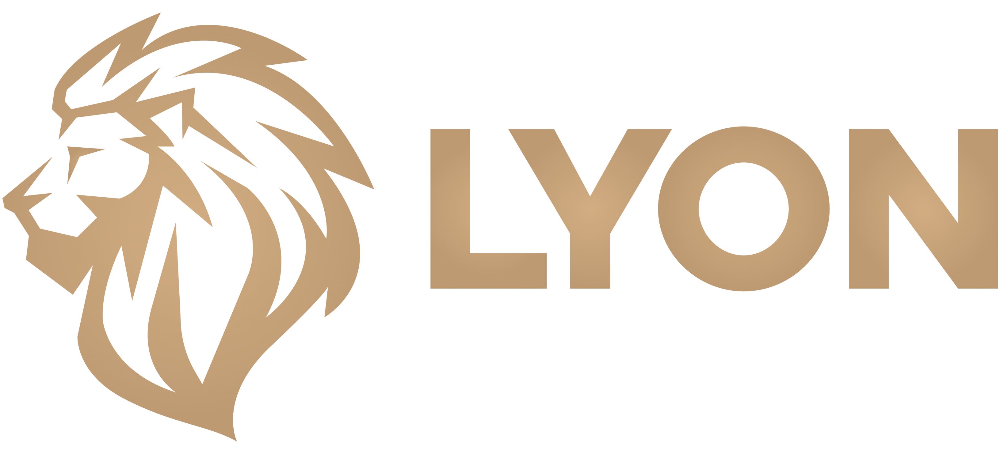 Logo LYON Academy