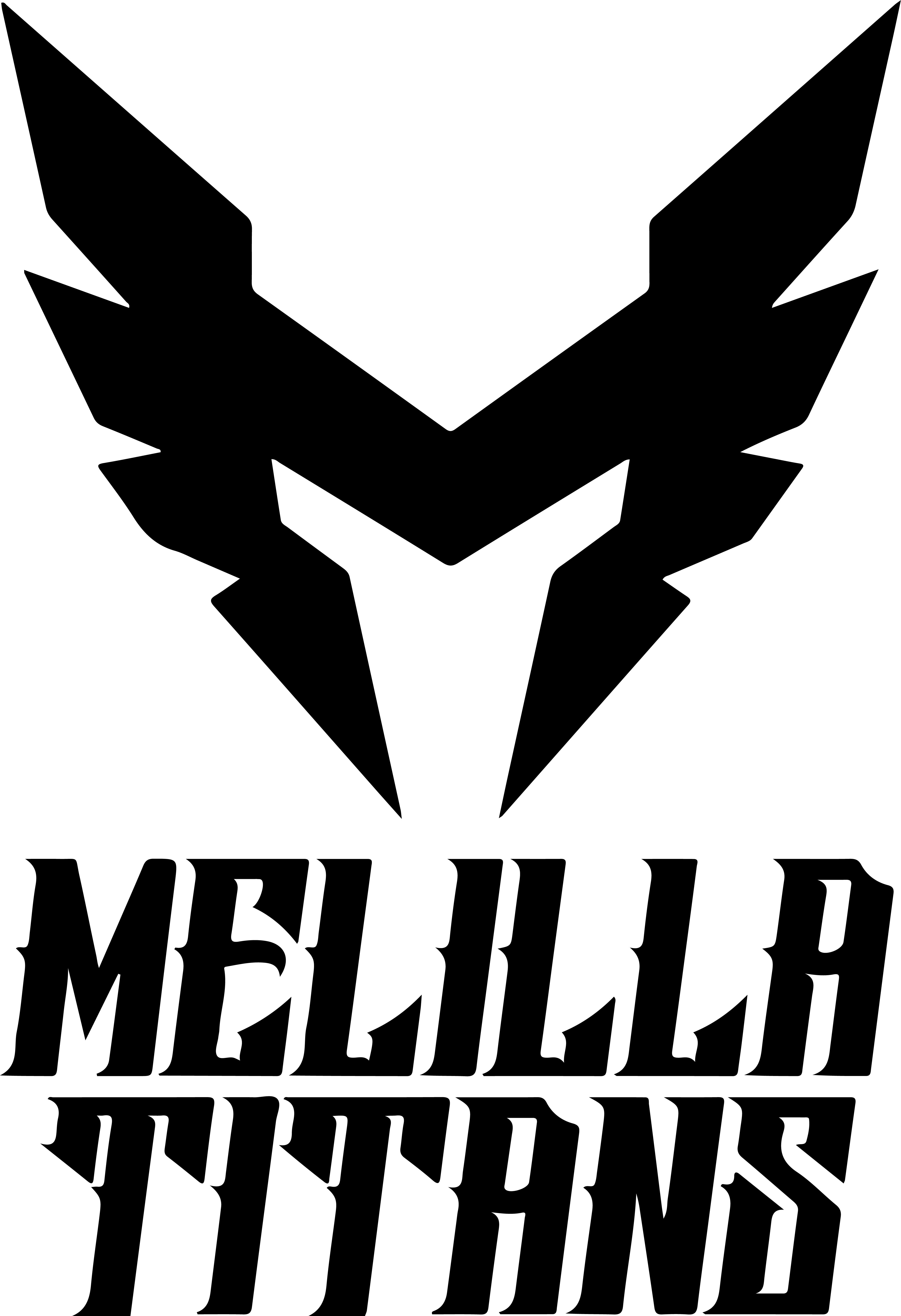 Logo de Melilla Titans