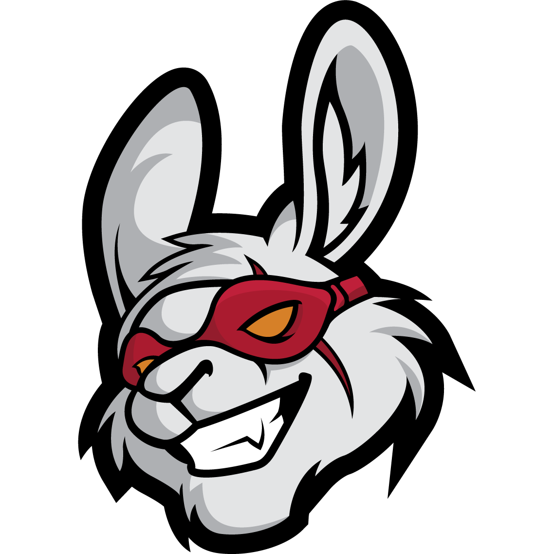 Logo Misfits Academy