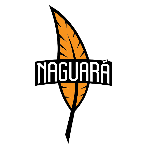 Logo de Naguara Team