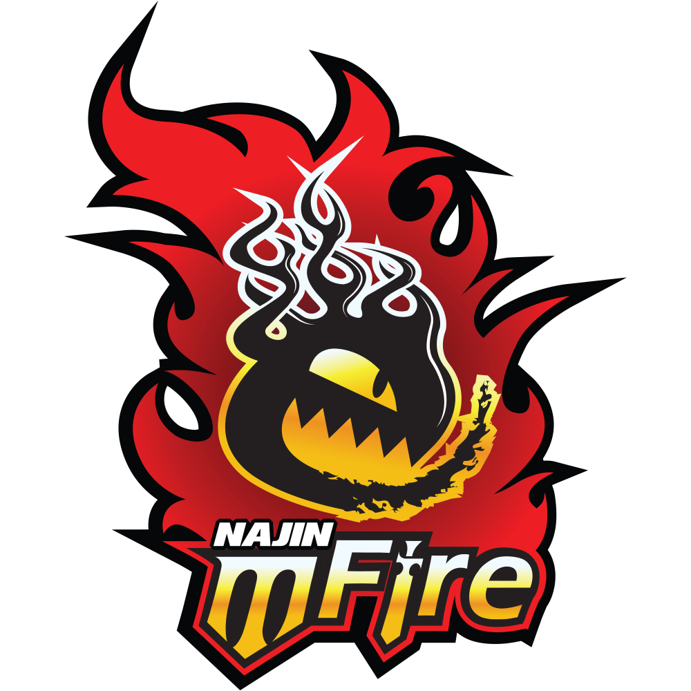 Logo NaJin e-mFire