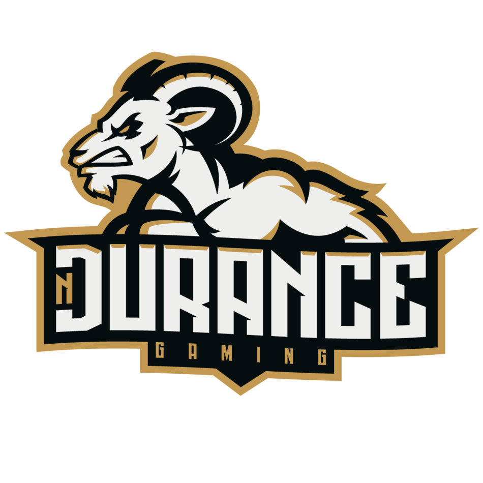 Logo nDurance Gaming