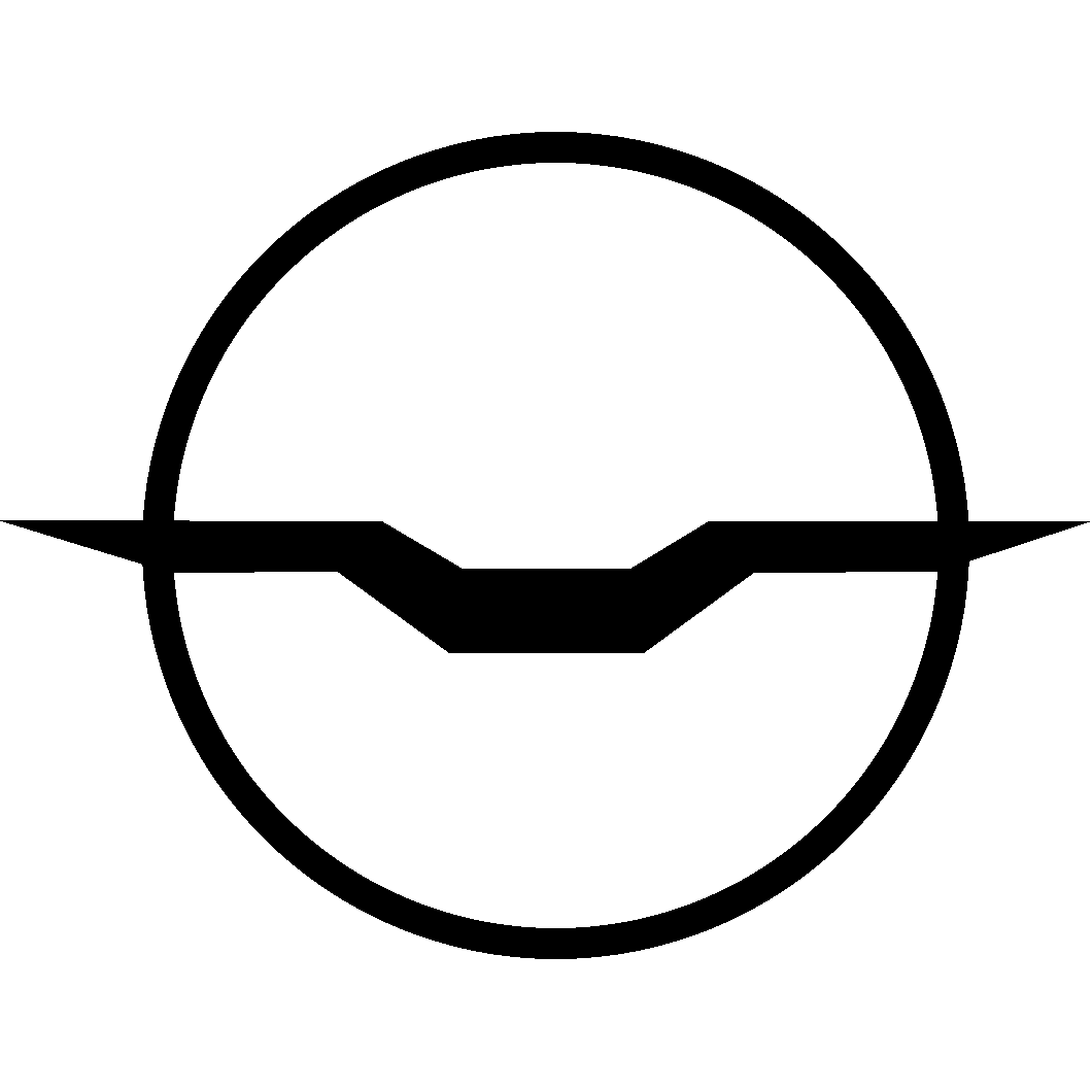 Logo Nightbirds