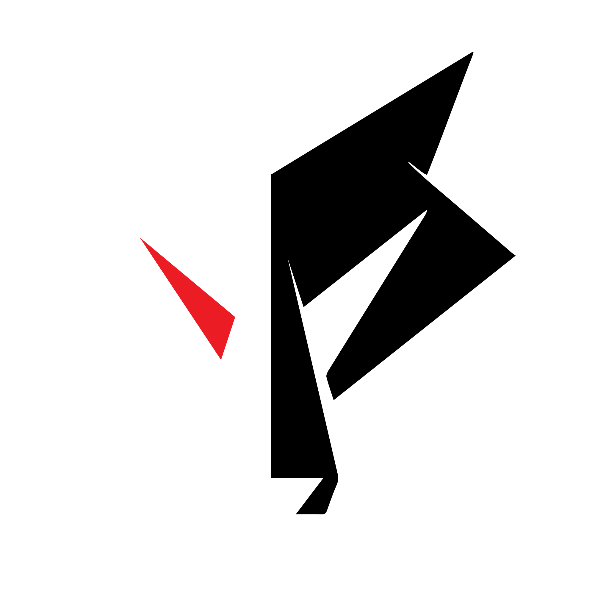Logo North Carolina State University