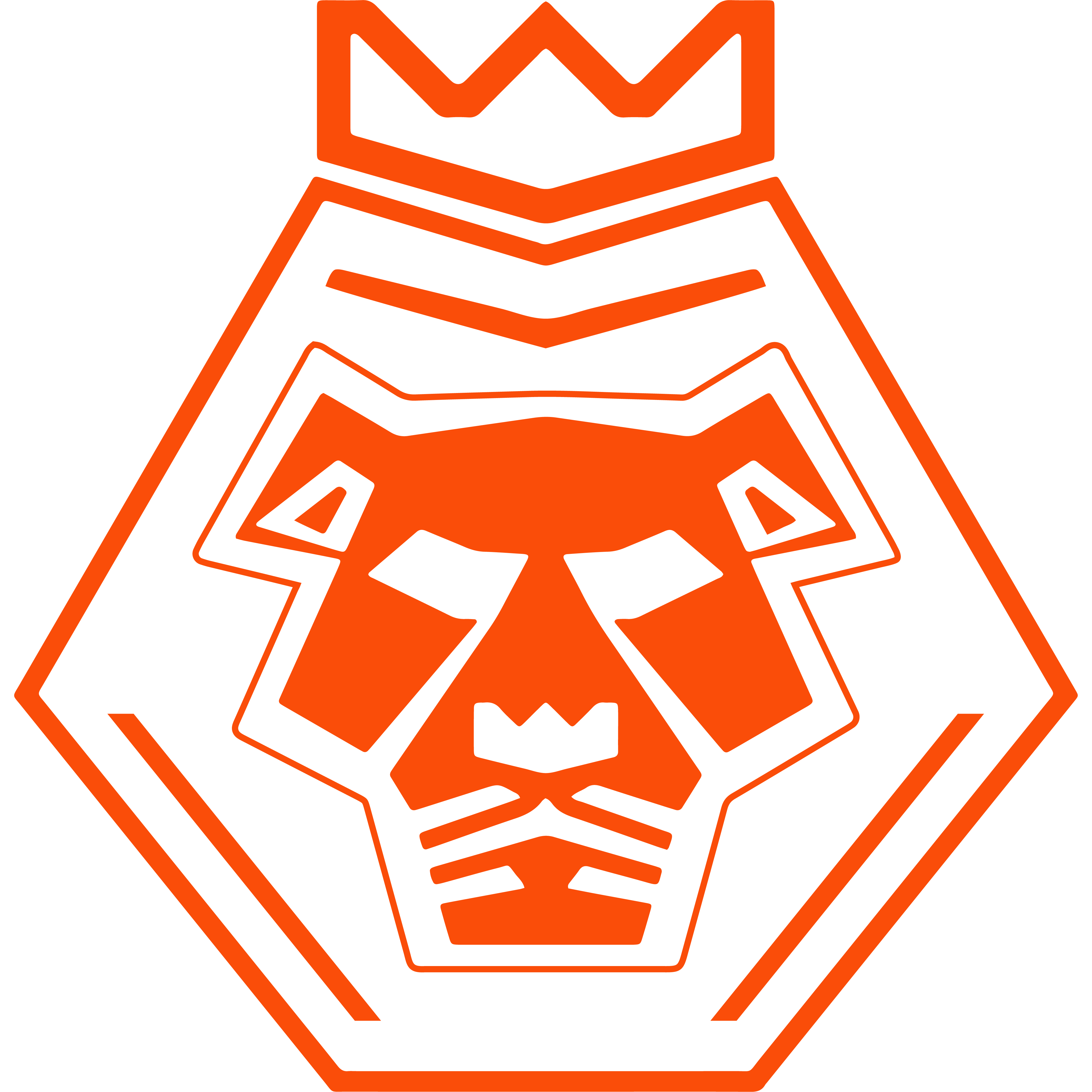 Logo Northern Lions Esports