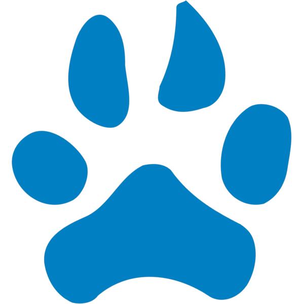 Logo Northwood University