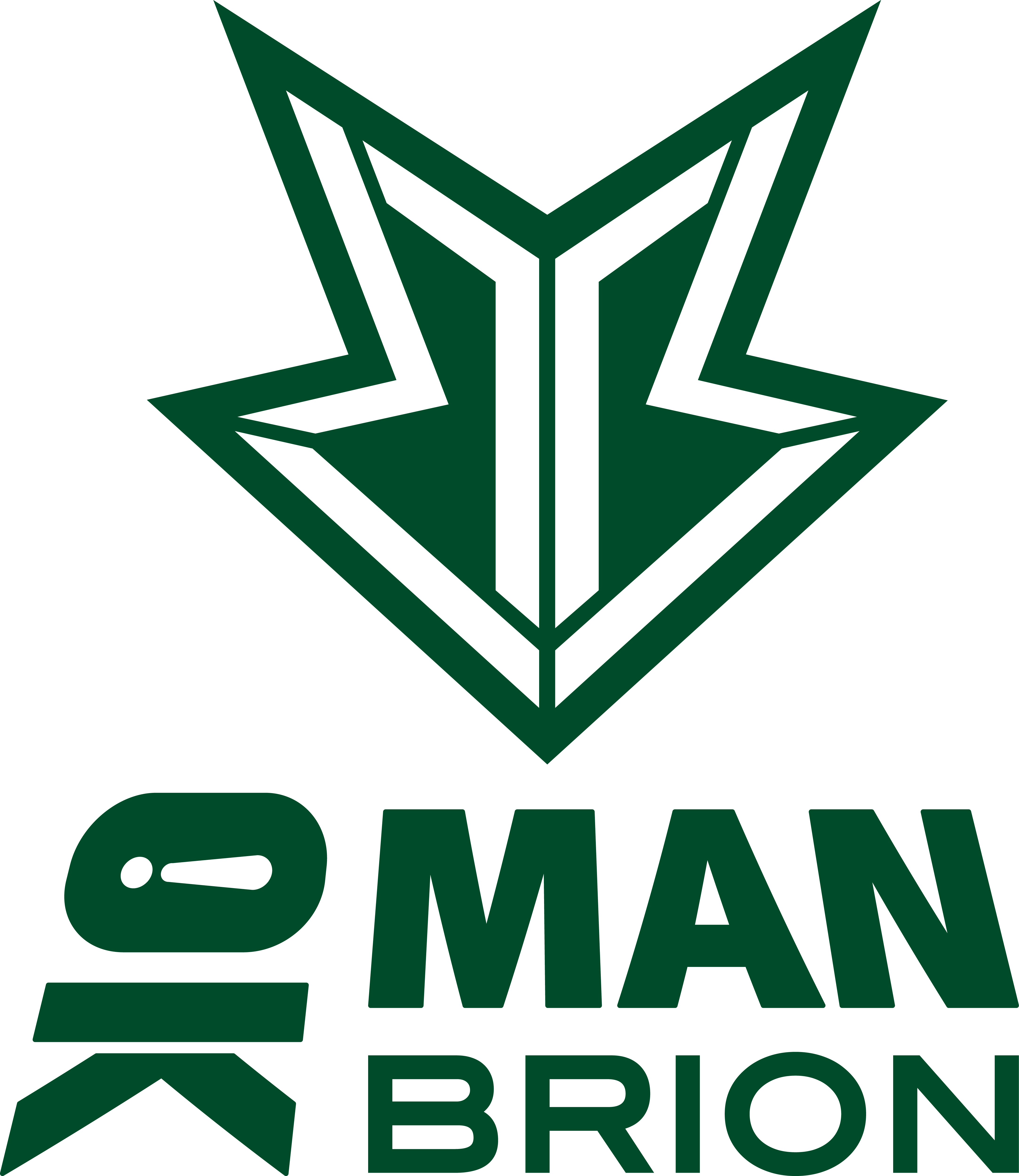 Logo OKSavingsBank BRION Challengers