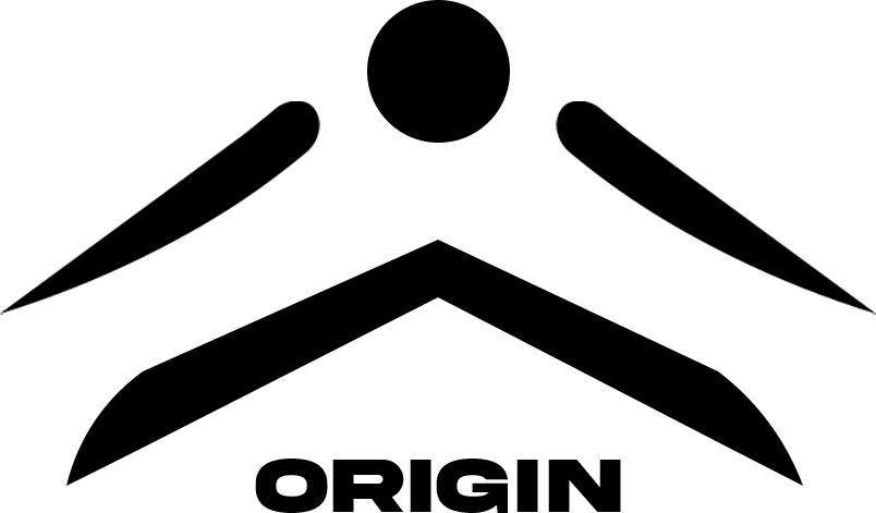 Logo de ORIGINwp