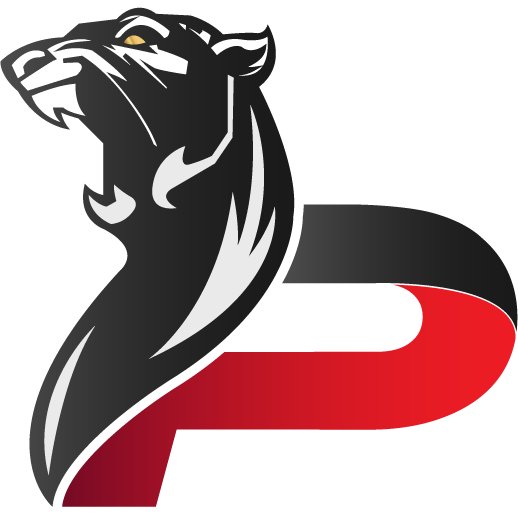 Logo de PANTHERS Gaming