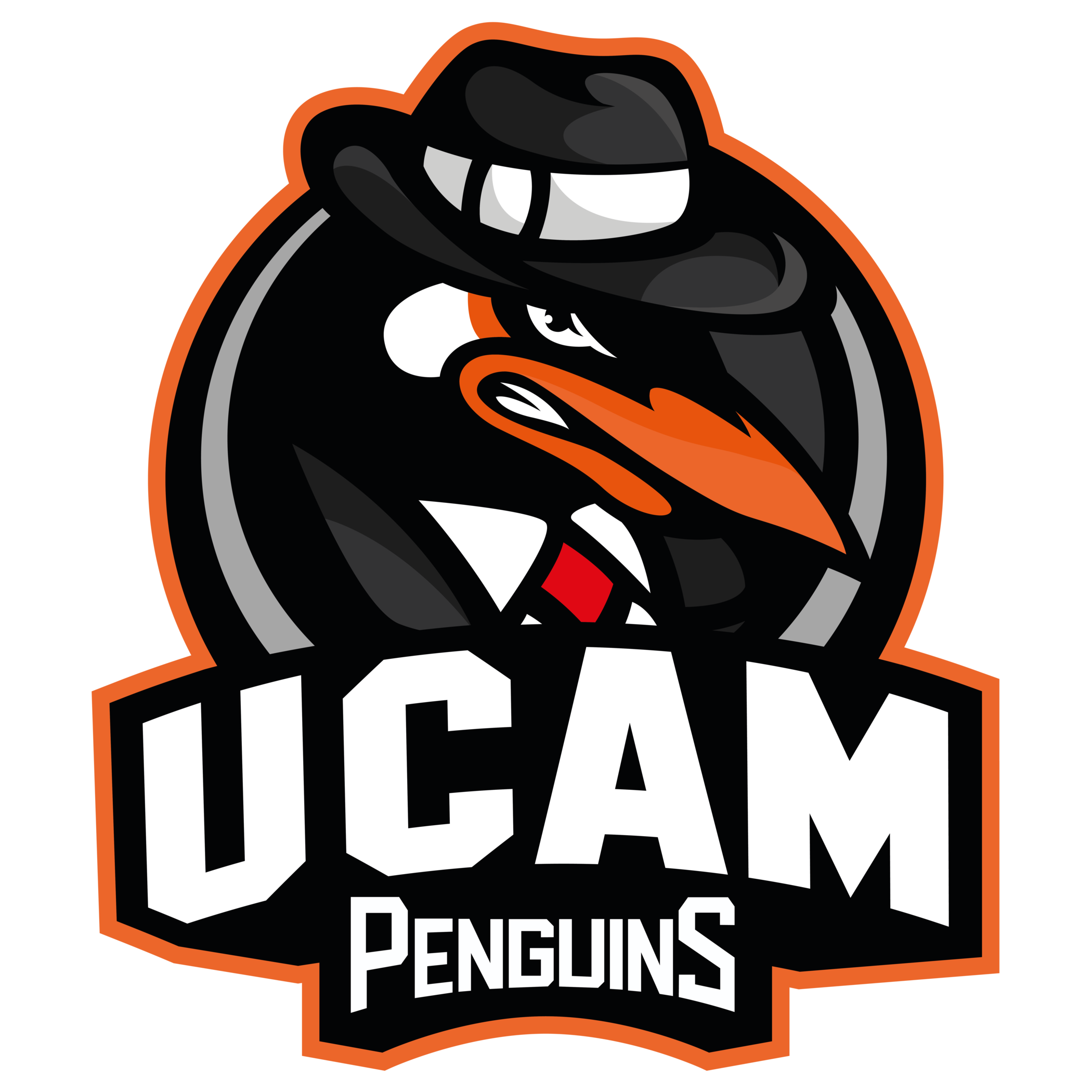 Logo de Penguins Academy
