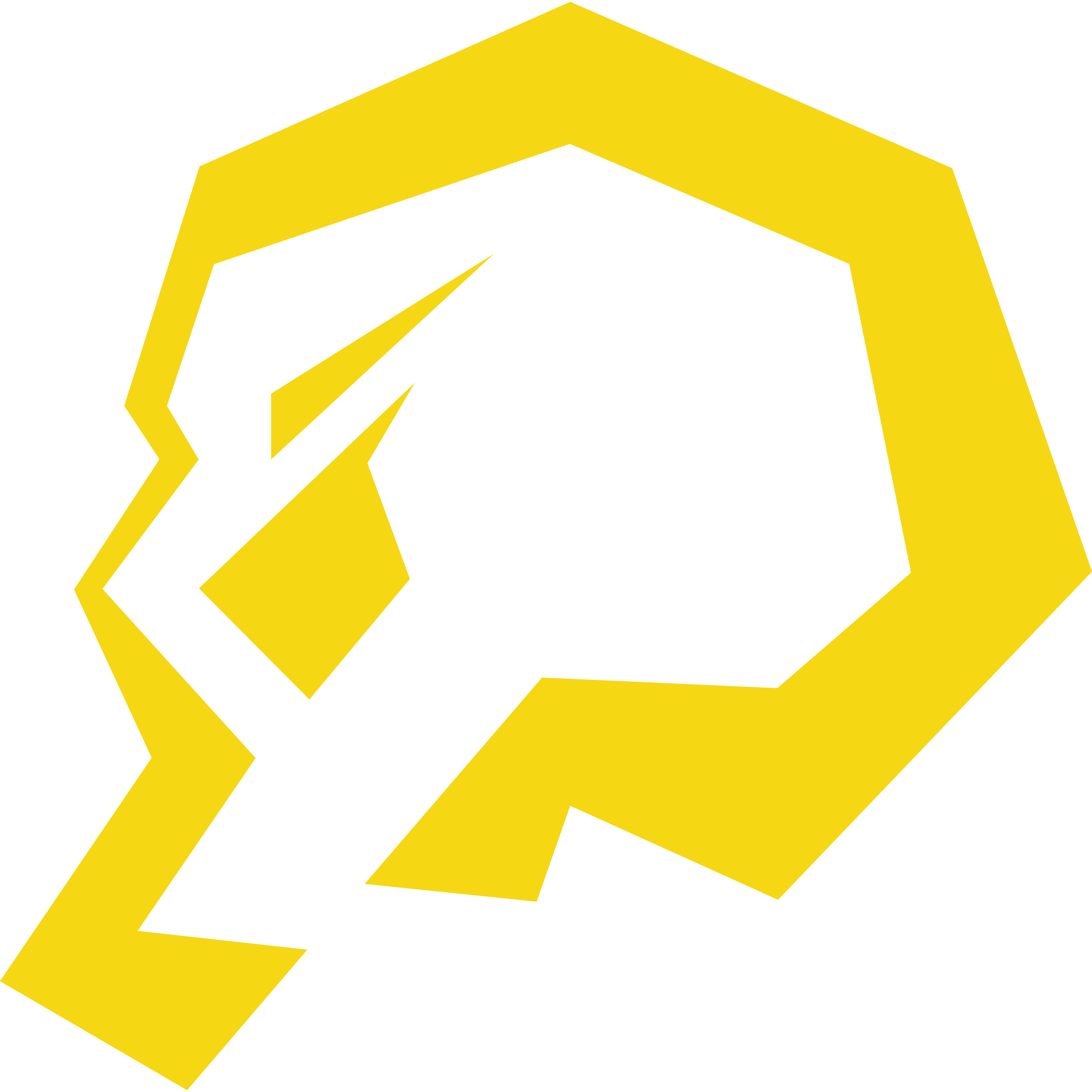 Logo de piratesports Academy