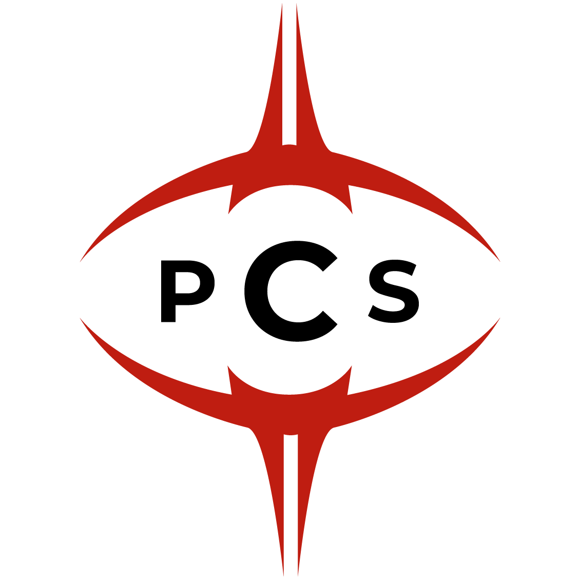 Logo Project Conquerors