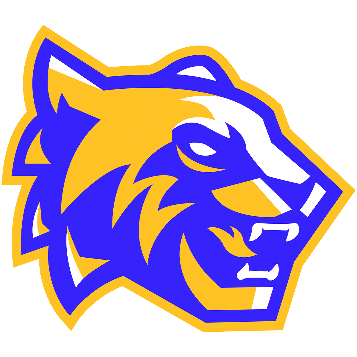 Logo SDM Tigres