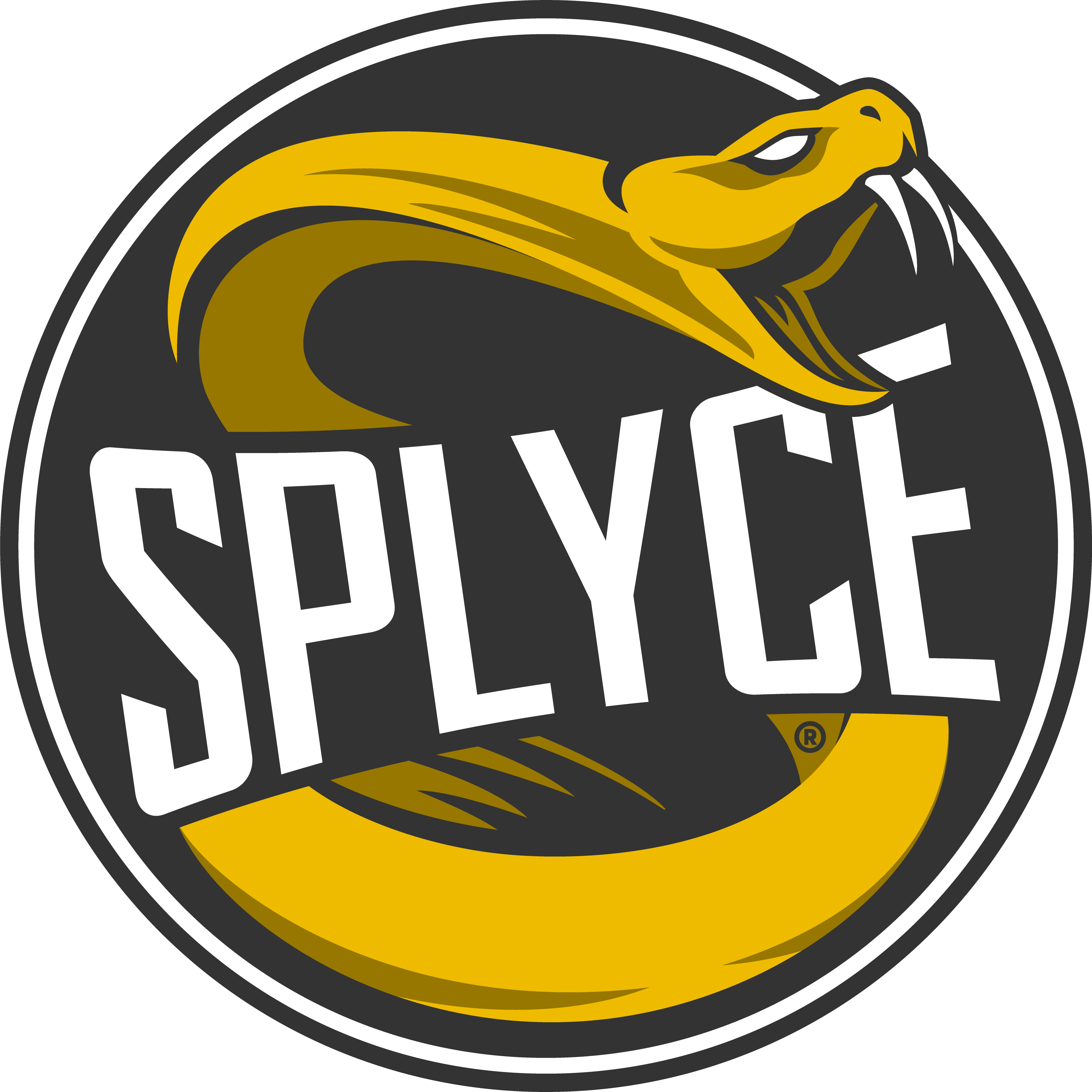 Logo Splyce