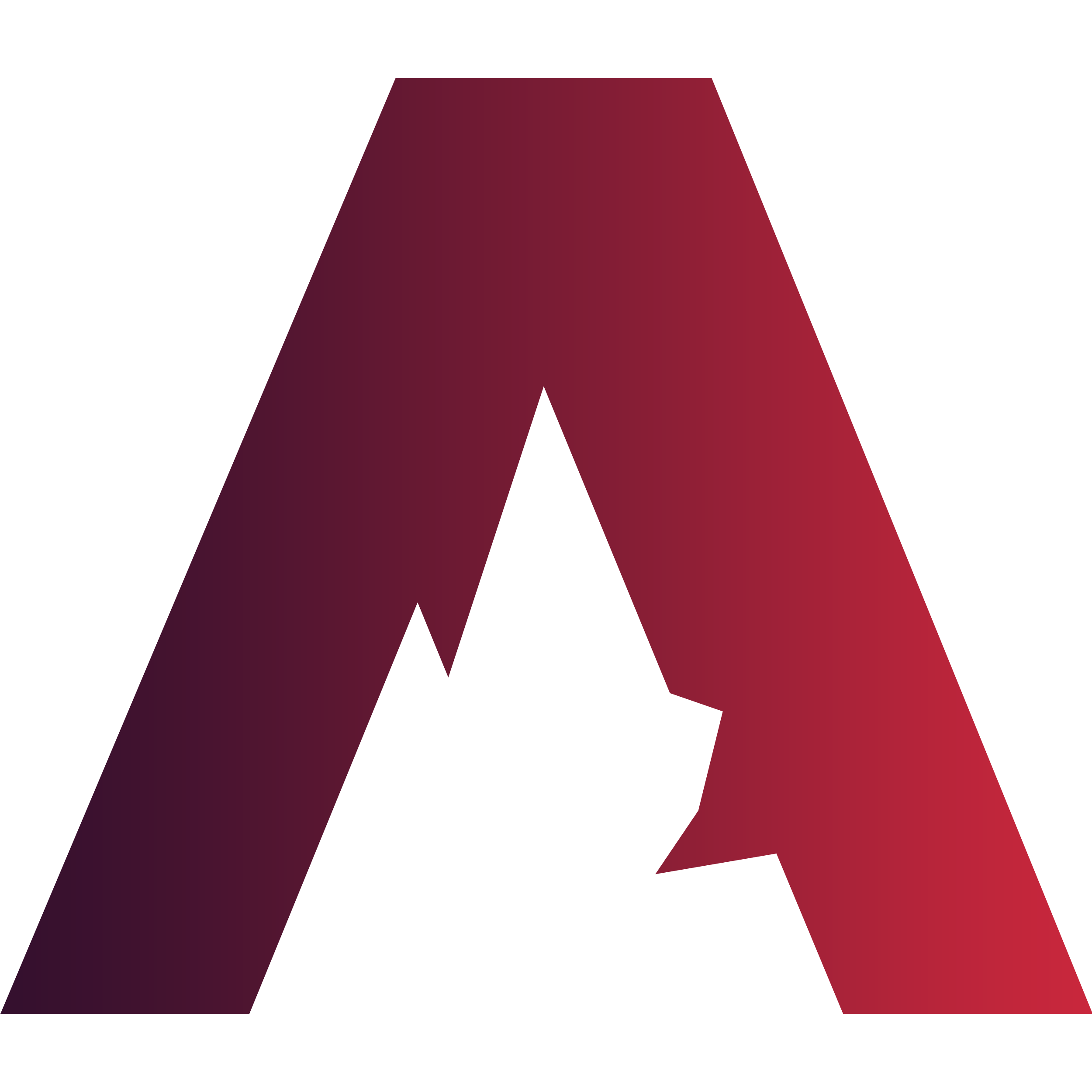 Logo Team Ascent