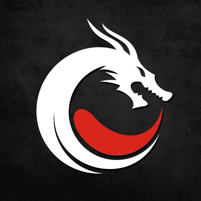 Logo de Team Dragon Knights