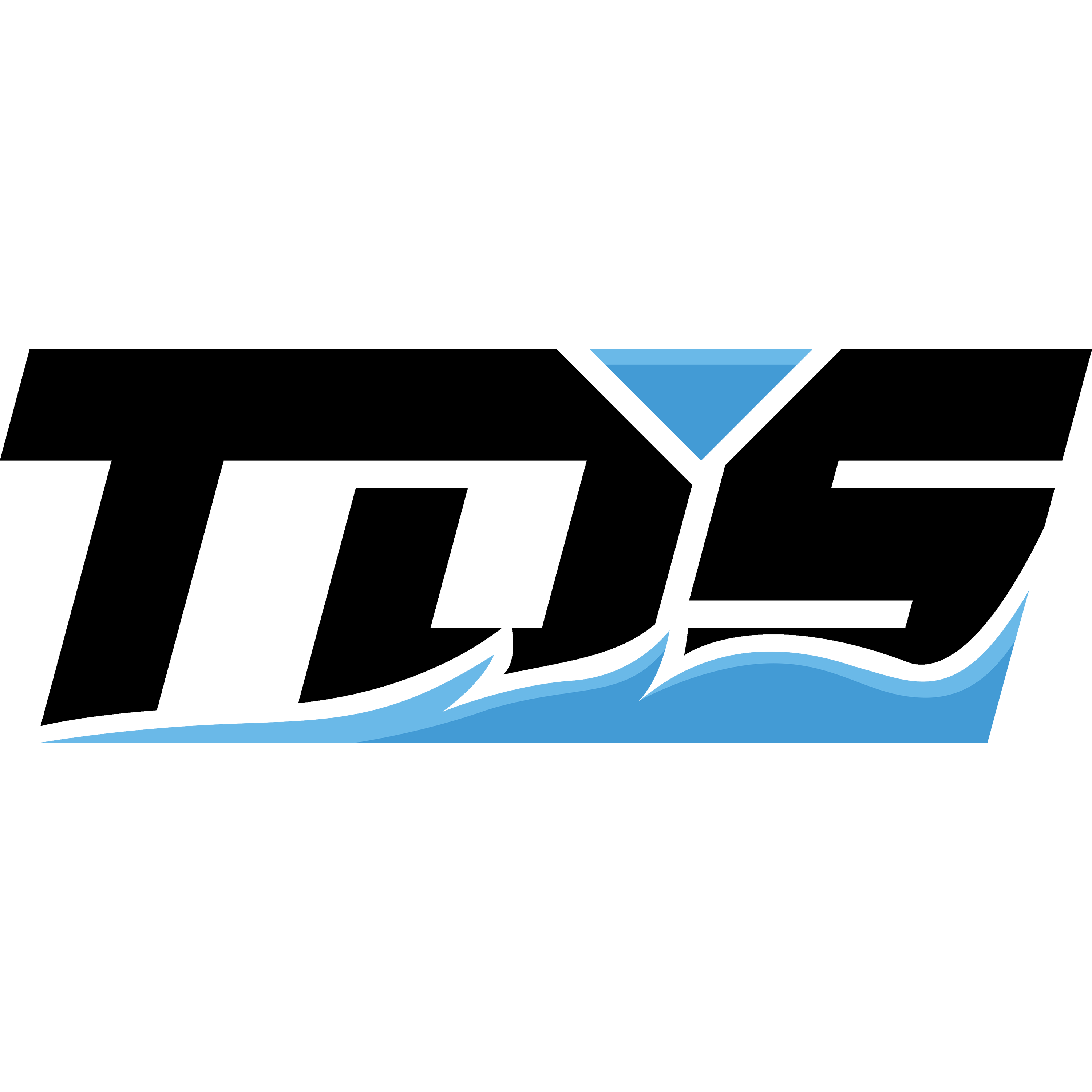 Logo Team Du Sud