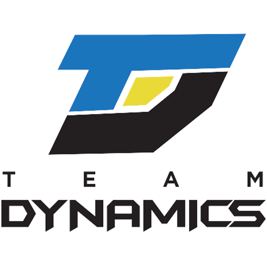 Logo Team Dynamics