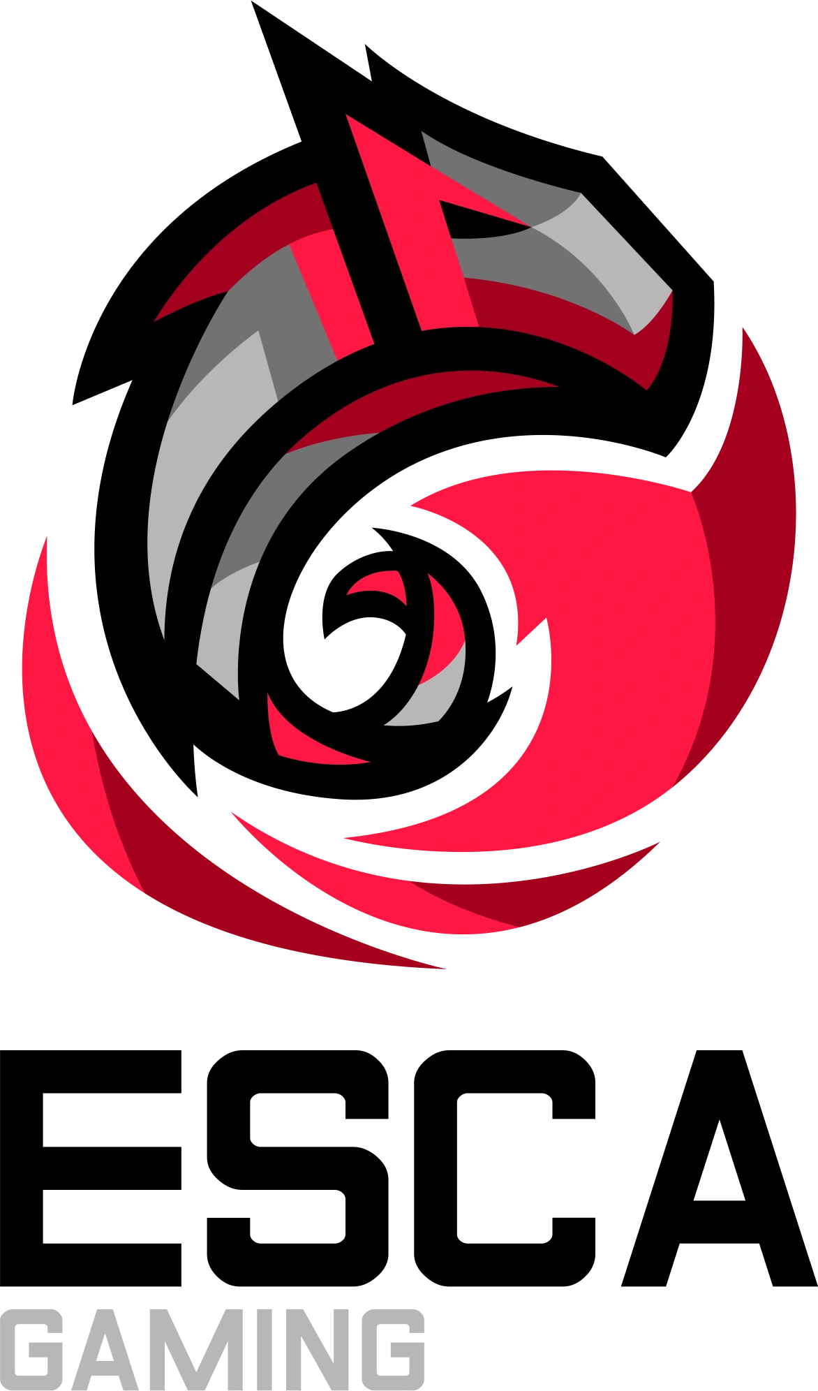 Logo Team ESCA Gaming