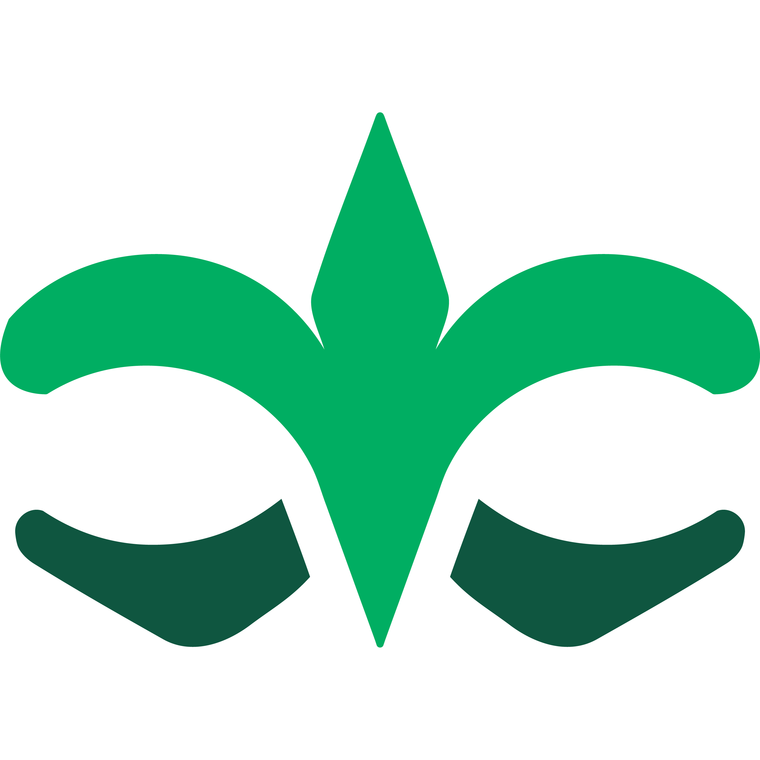 Logo de Team Evermeet